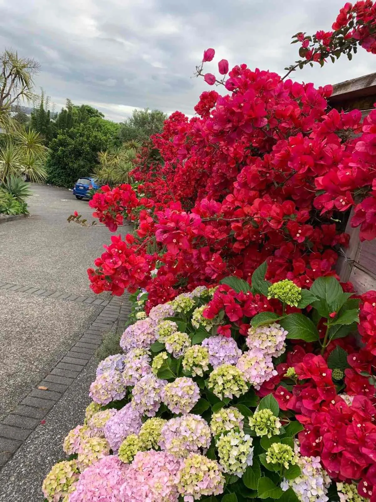 Oneroa Bay Villa Waiheke