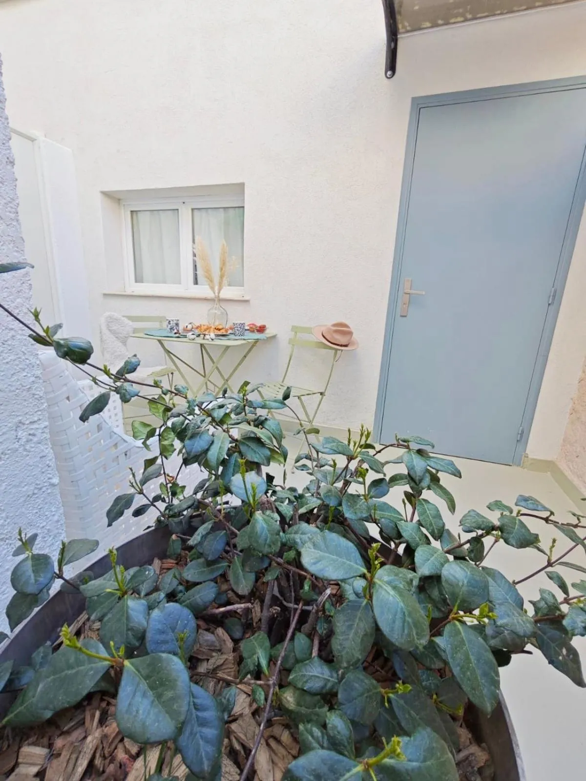 Garden in HOTEL DES CALANQUES