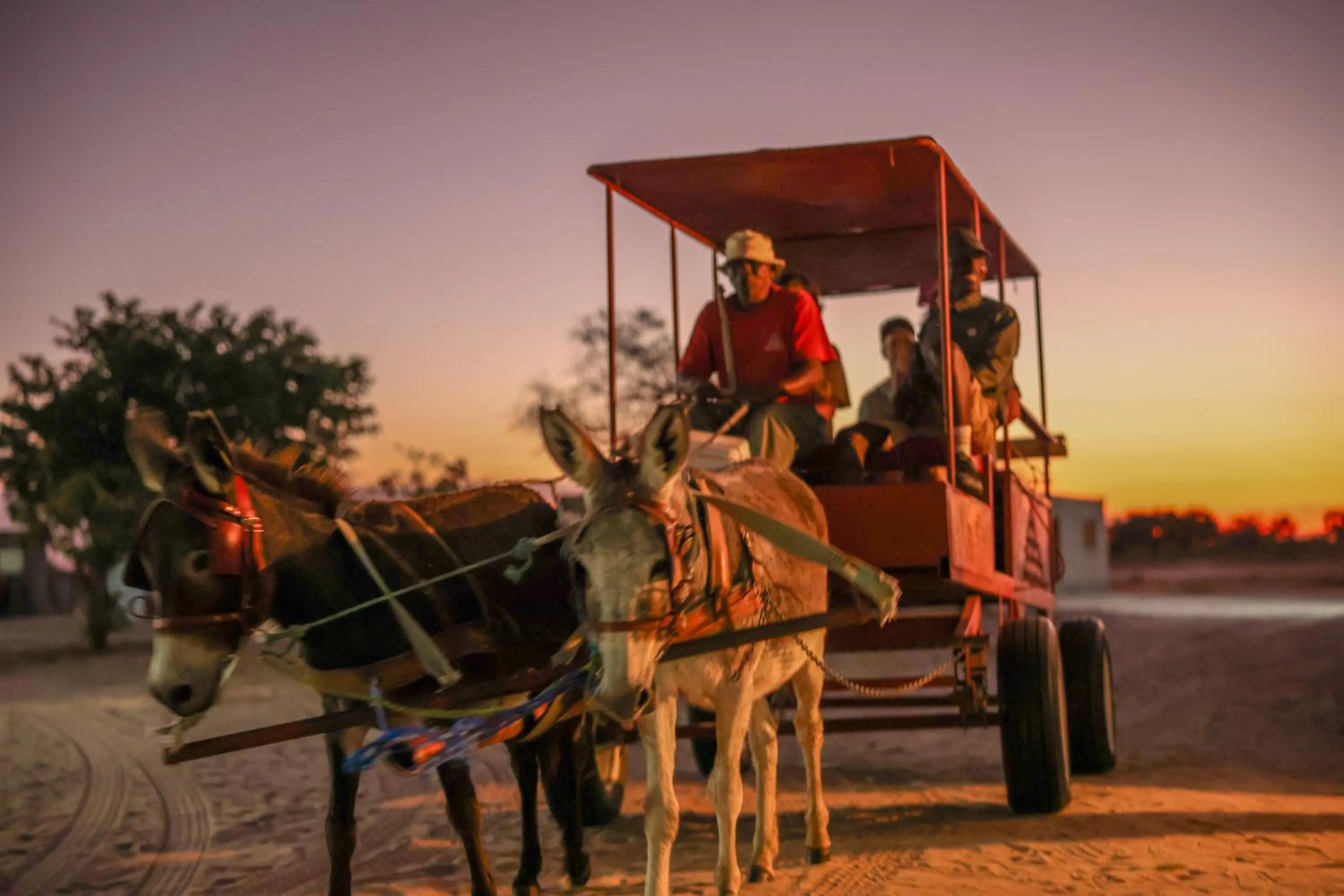 Ongula Village Homestead Lodge