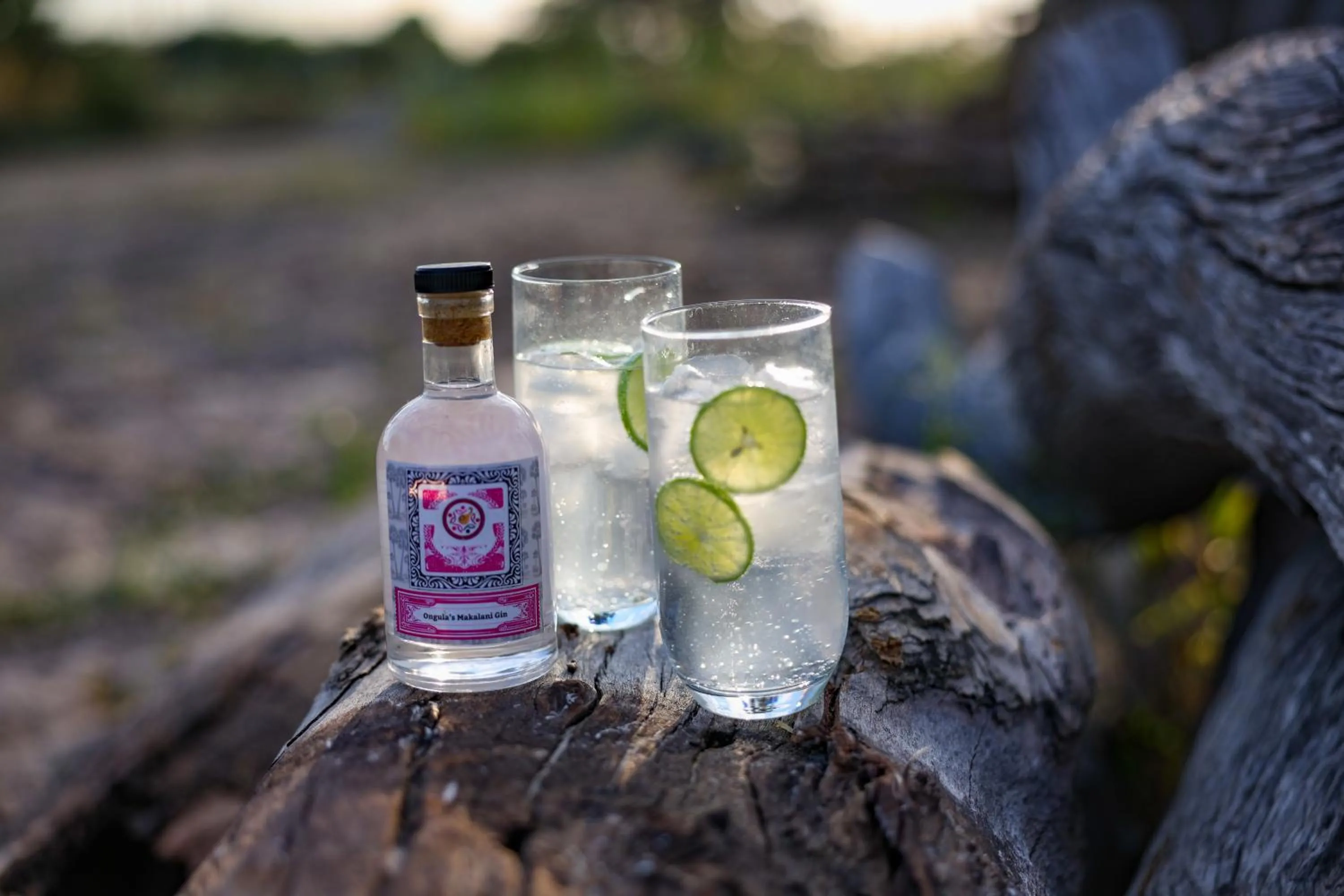 Ongula Village Homestead Lodge