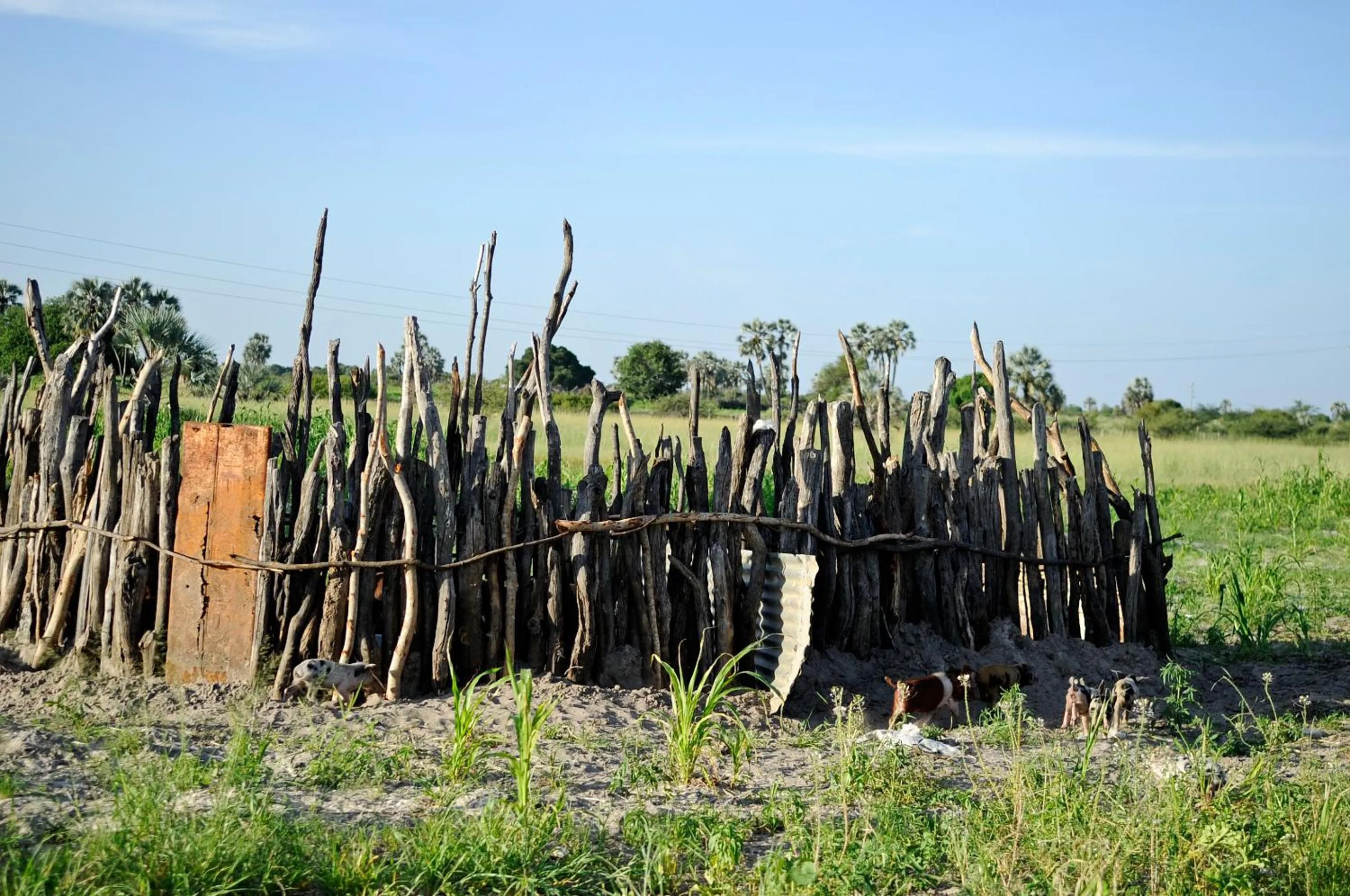 Other in Ongula Village Homestead Lodge