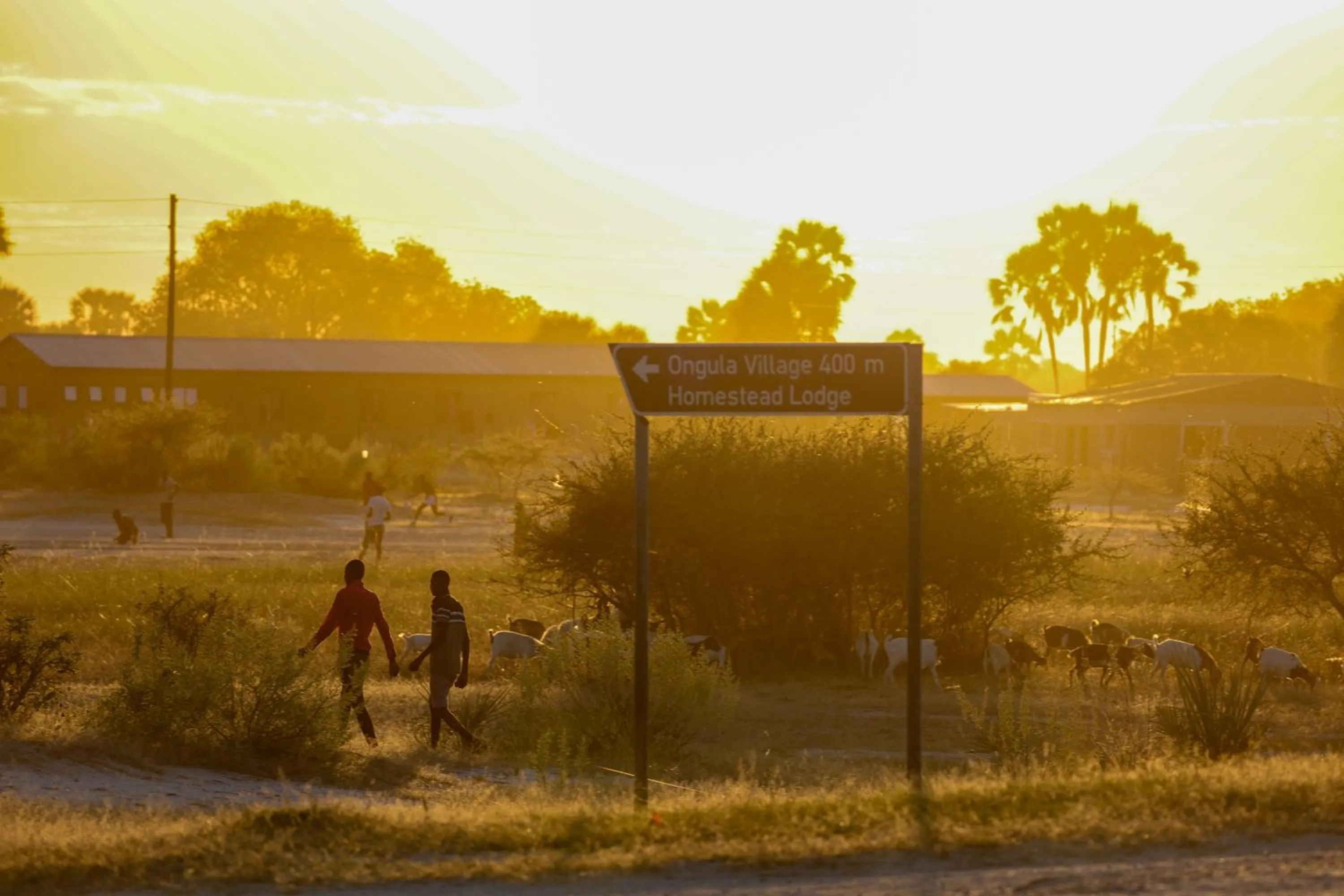 Ongula Village Homestead Lodge