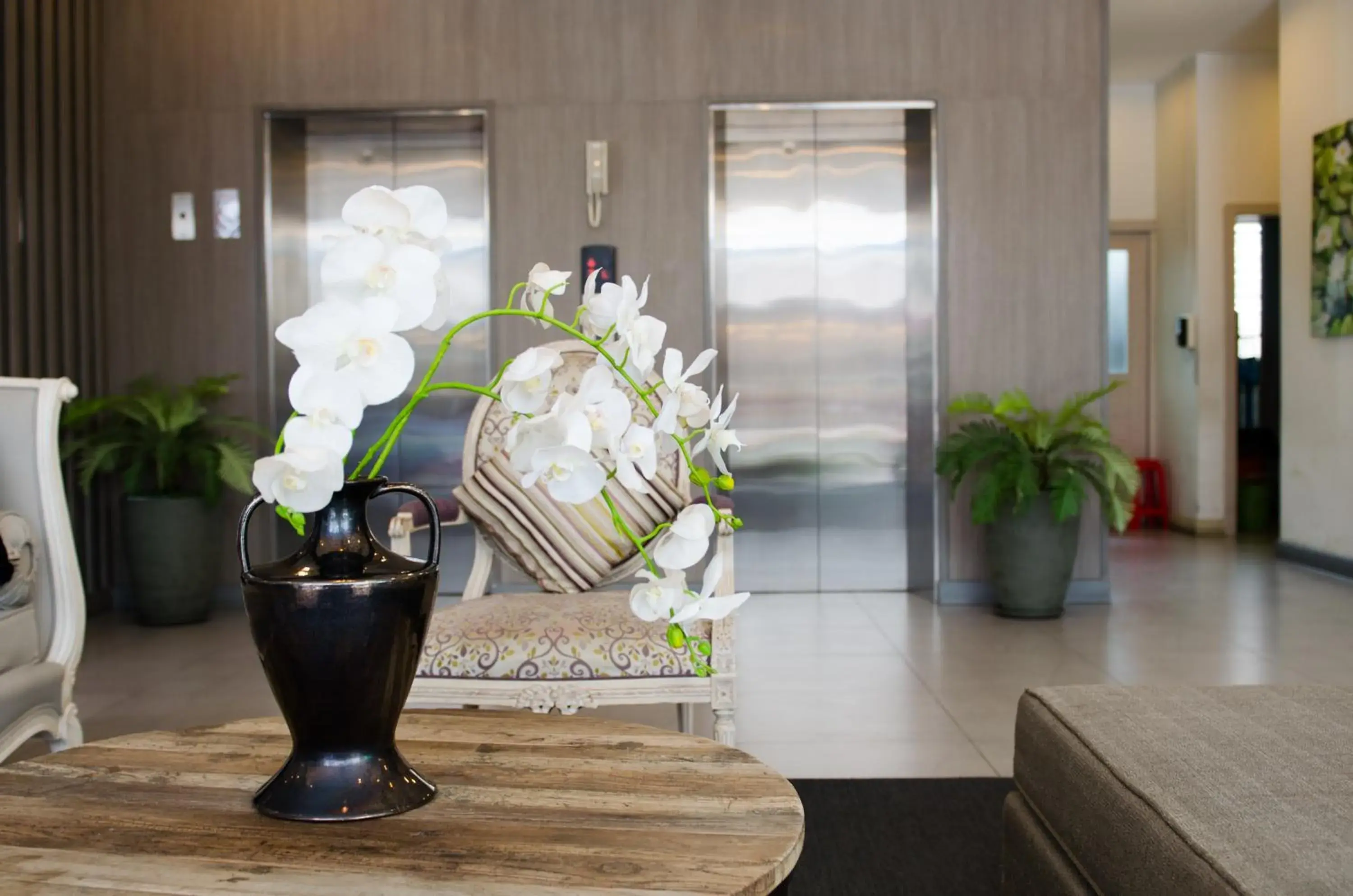 Lobby or reception in Mirage Express Patong Phuket Hotel Lobby or reception in Mirage Express Patong Phuket Hotel