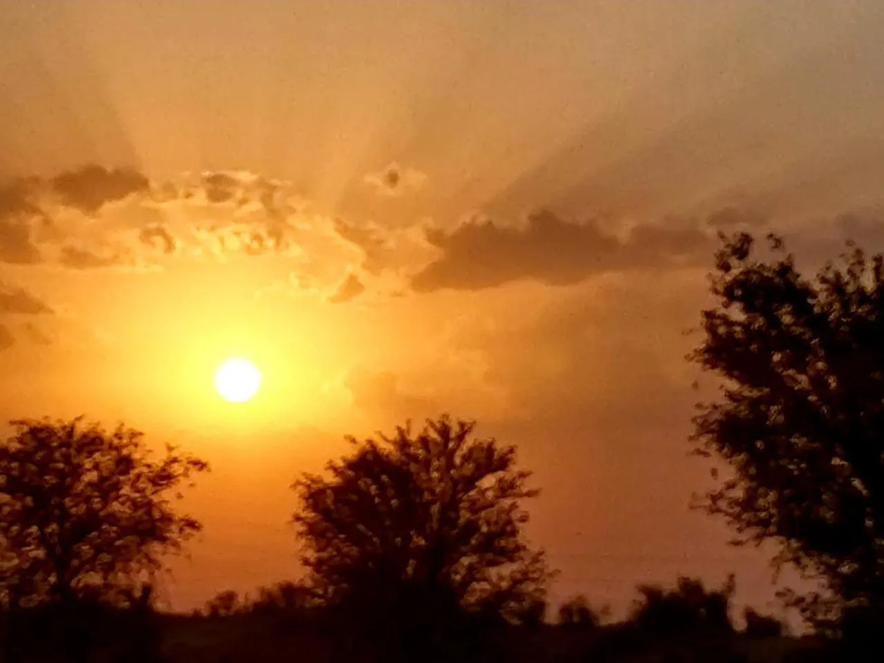 Sunrise in Shri Ram Wild Desert Resort