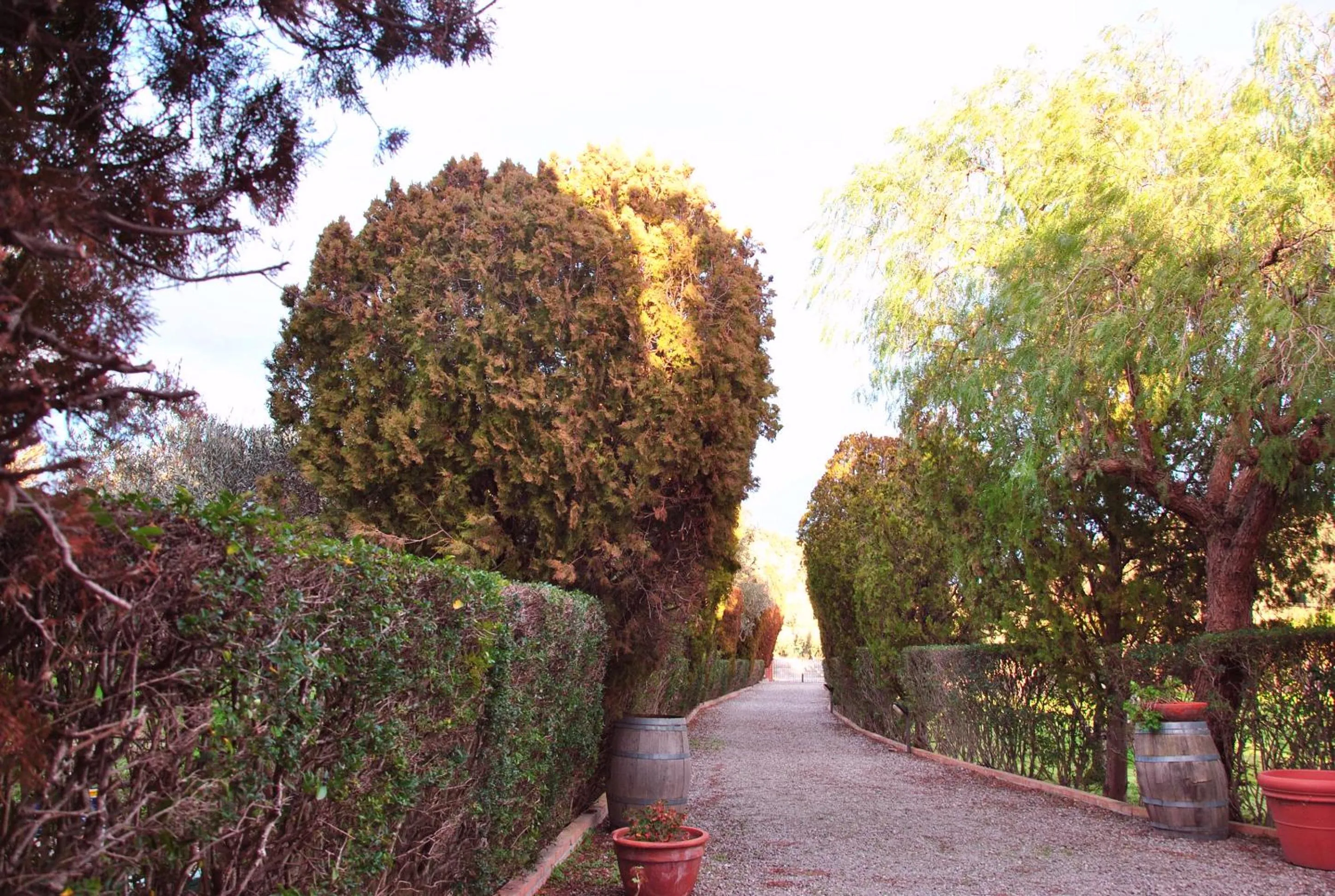 Agriturismo La Mandragola Relais