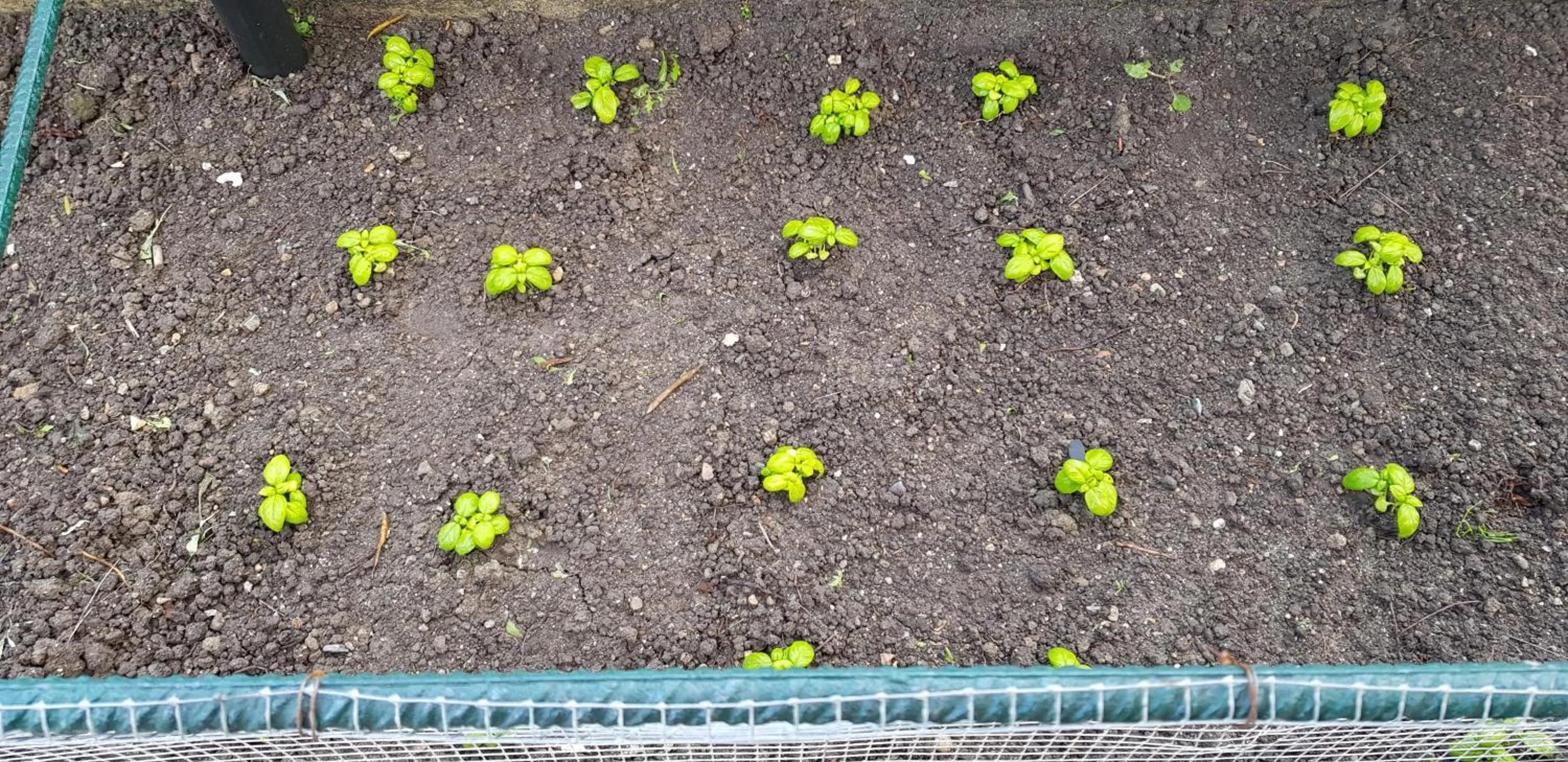 Agriturismo La Mandragola Relais