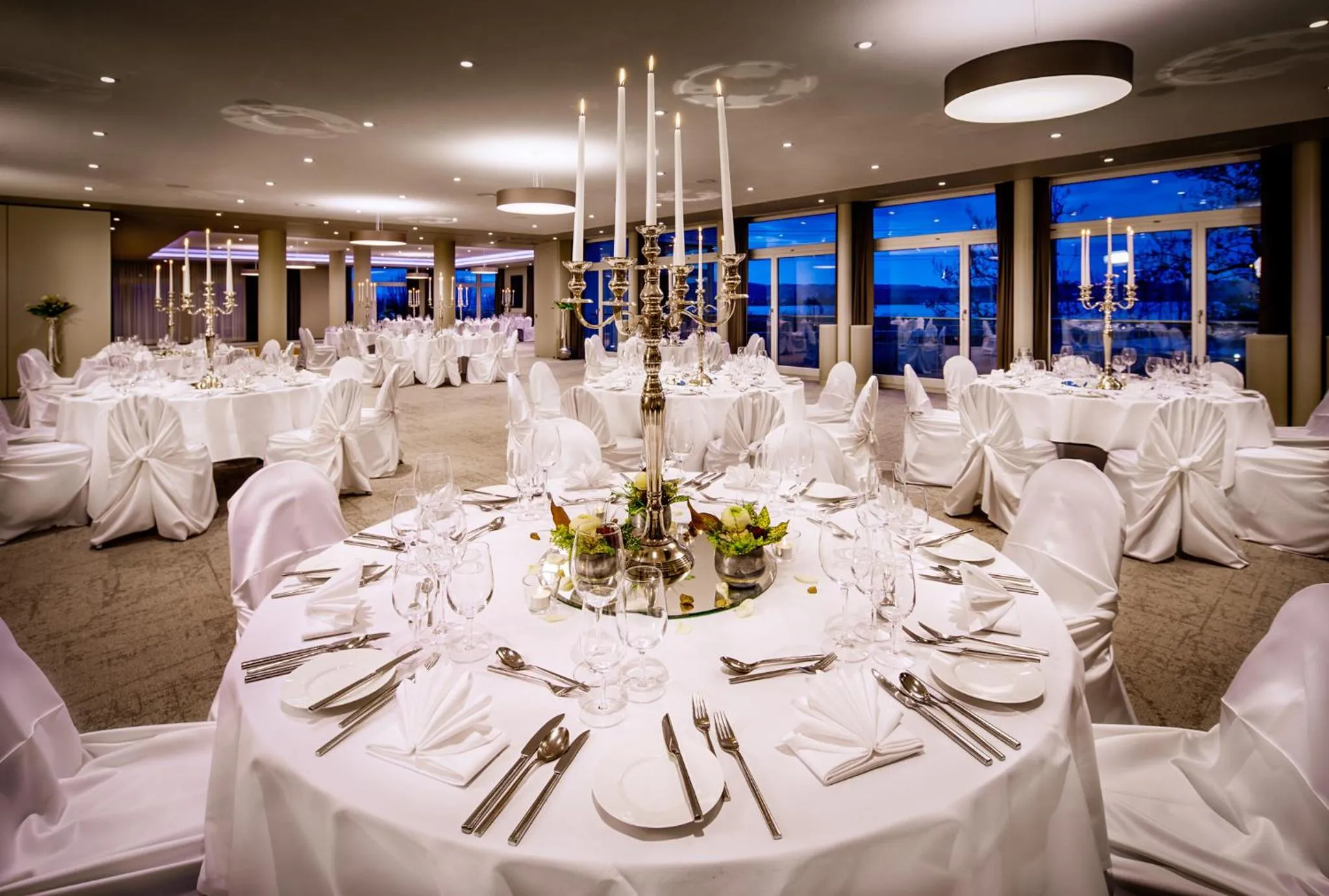 Banquet/Function facilities in Seedamm Plaza