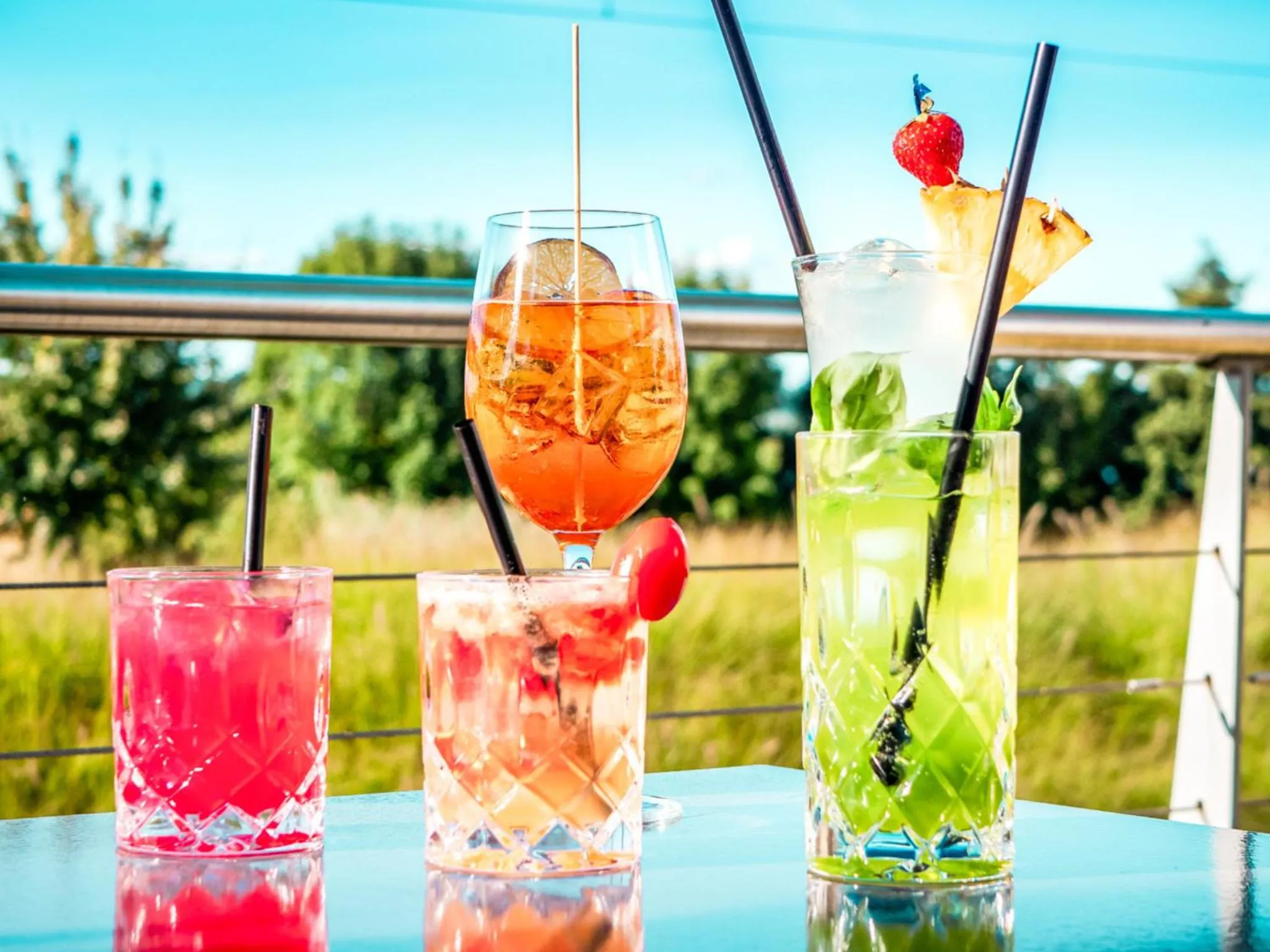 Balcony/Terrace in Seedamm Plaza