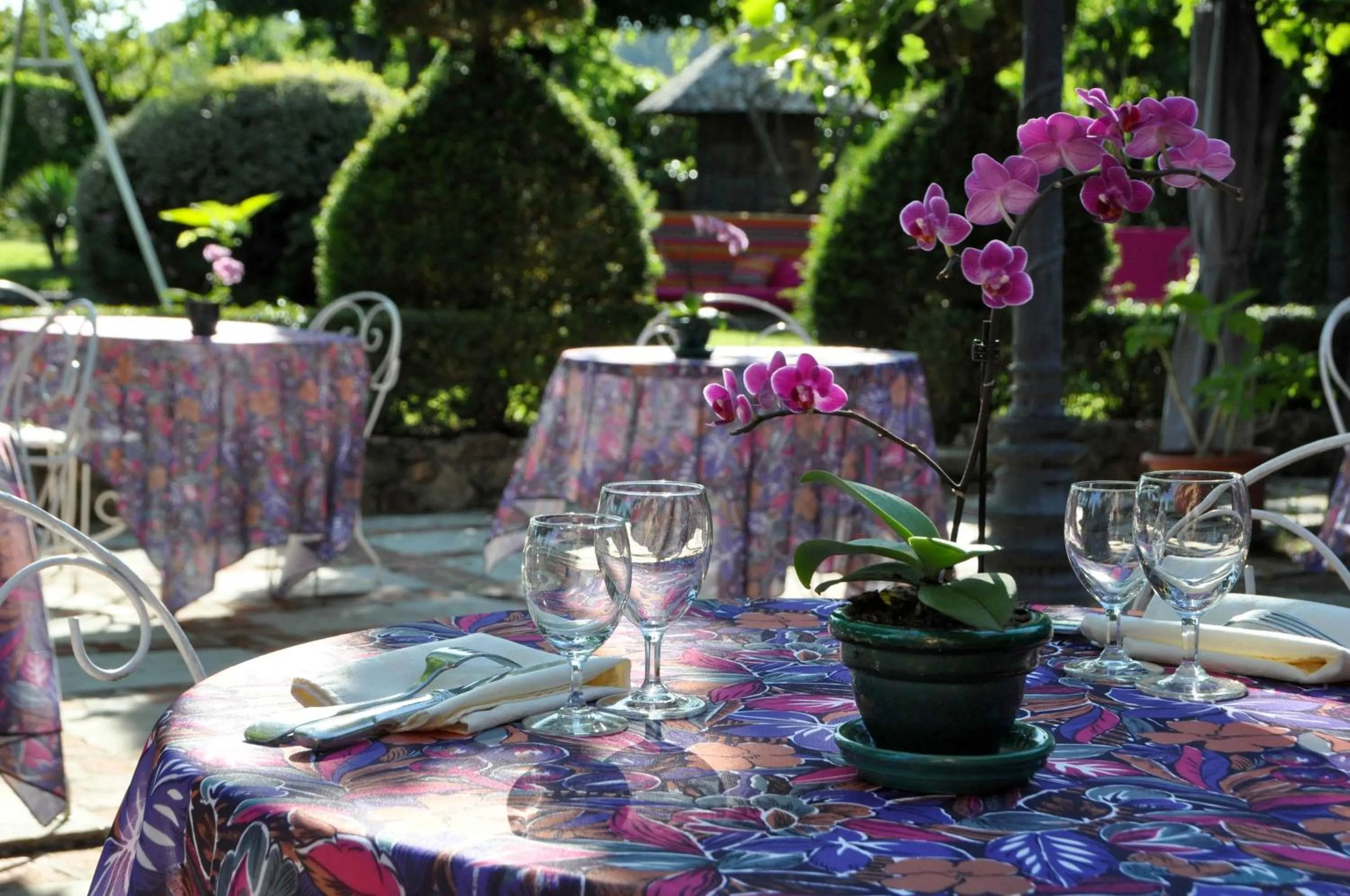 Patio in Logis Hôtel LE DAHU
