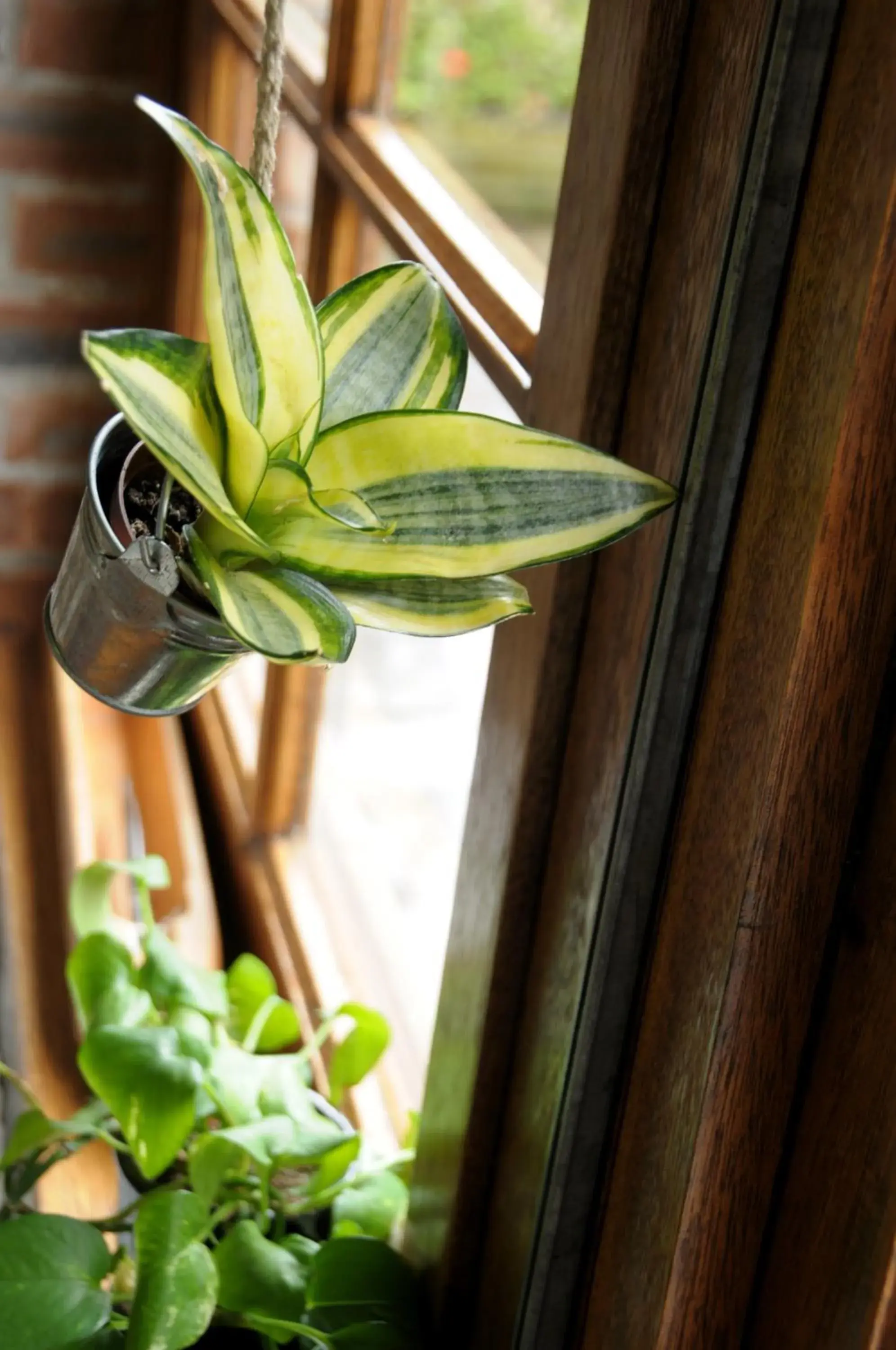 Restaurant/places to eat in Logis Hôtel LE DAHU Restaurant/places to eat in Logis Hôtel LE DAHU