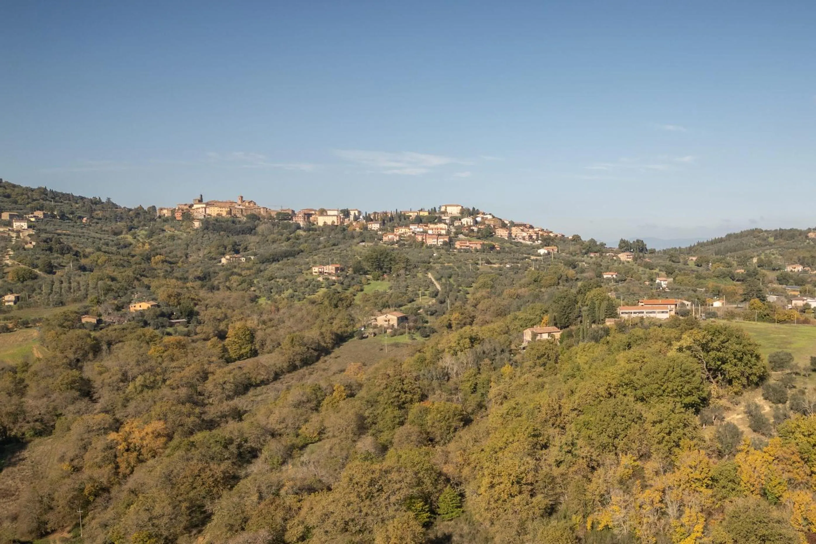 Tenuta di Caiolo