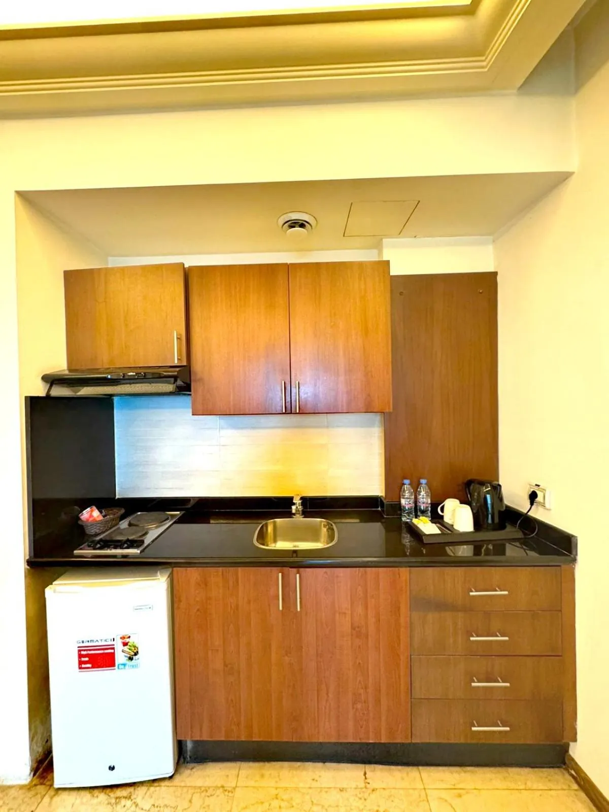 Kitchen or kitchenette in King Suites Hotel