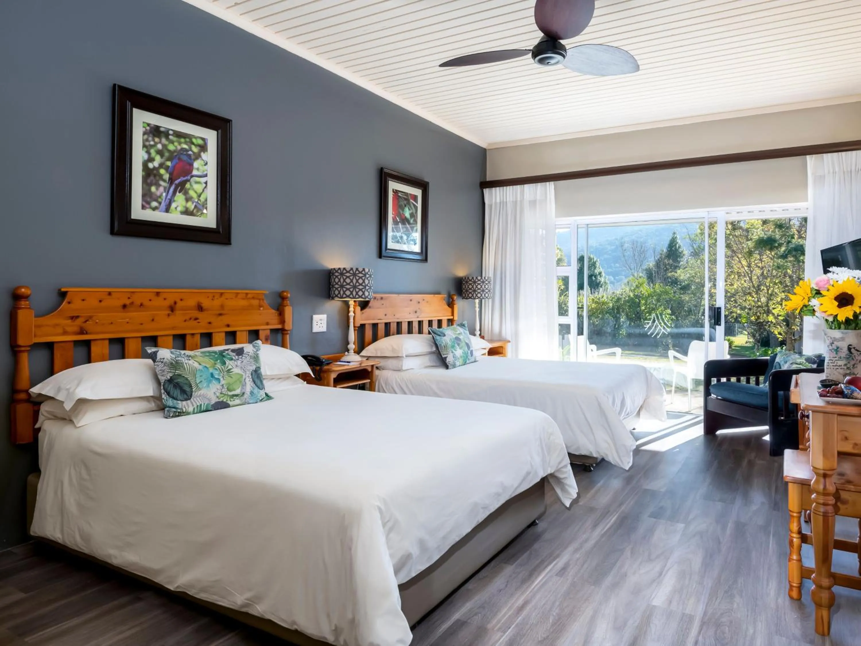 Bed in ANEW Resort Ingeli Forest Kokstad