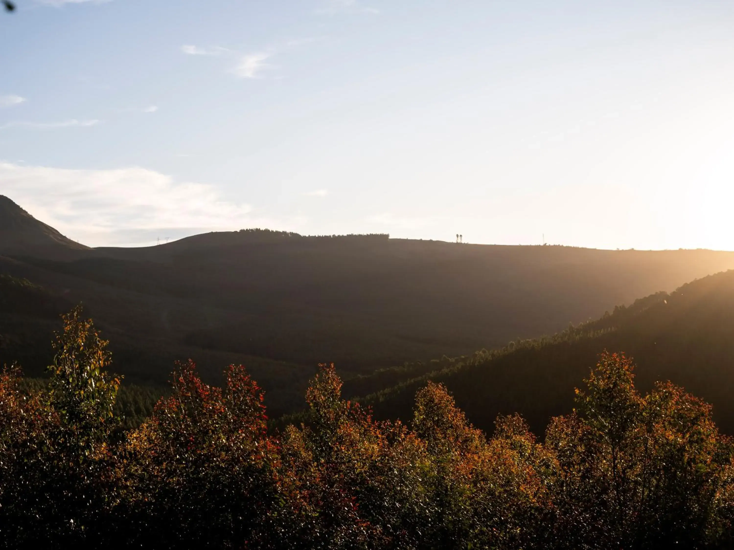 Mountain view in ANEW Resort Ingeli Forest Kokstad Mountain view in ANEW Resort Ingeli Forest Kokstad