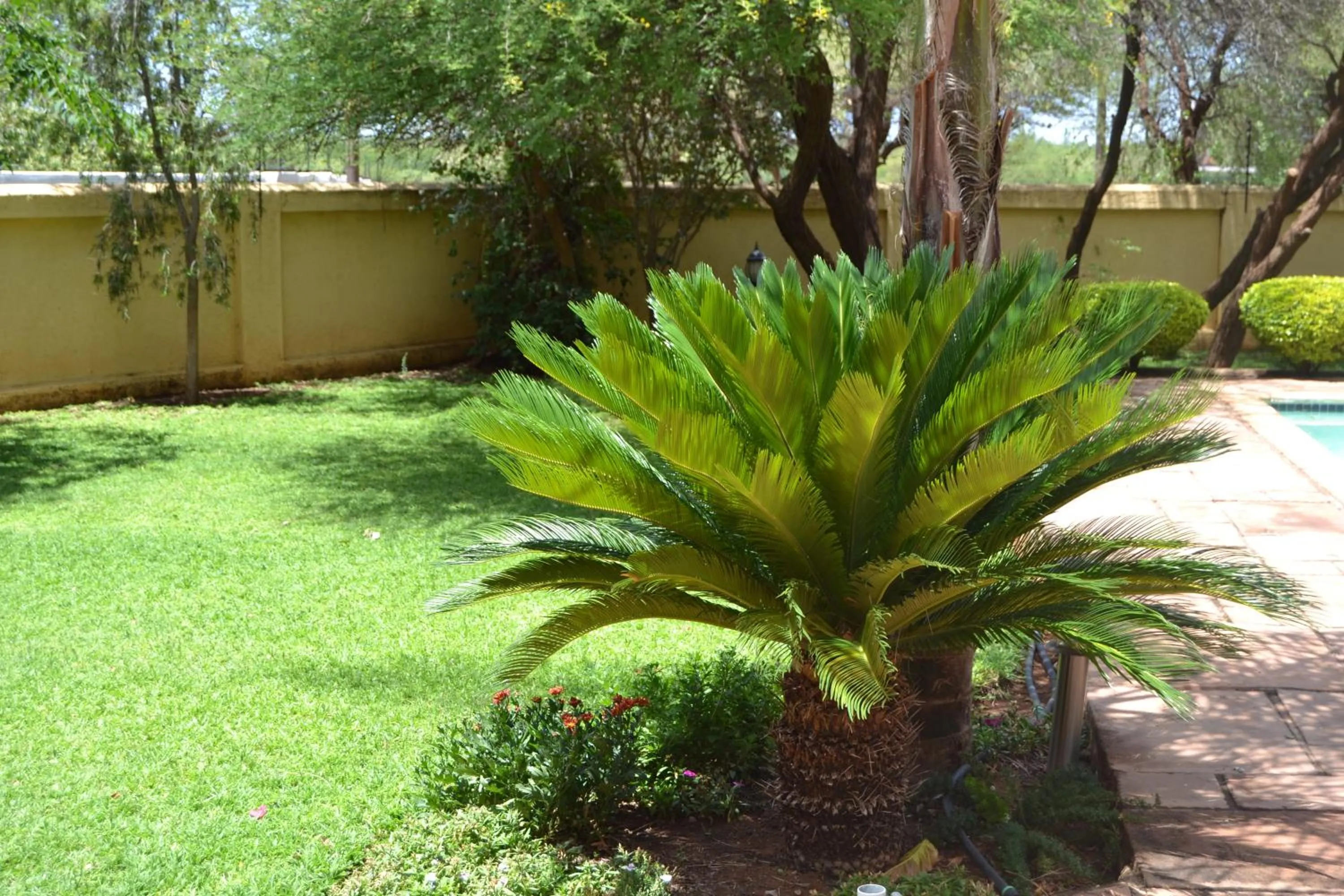 Garden in The Capital Guest House