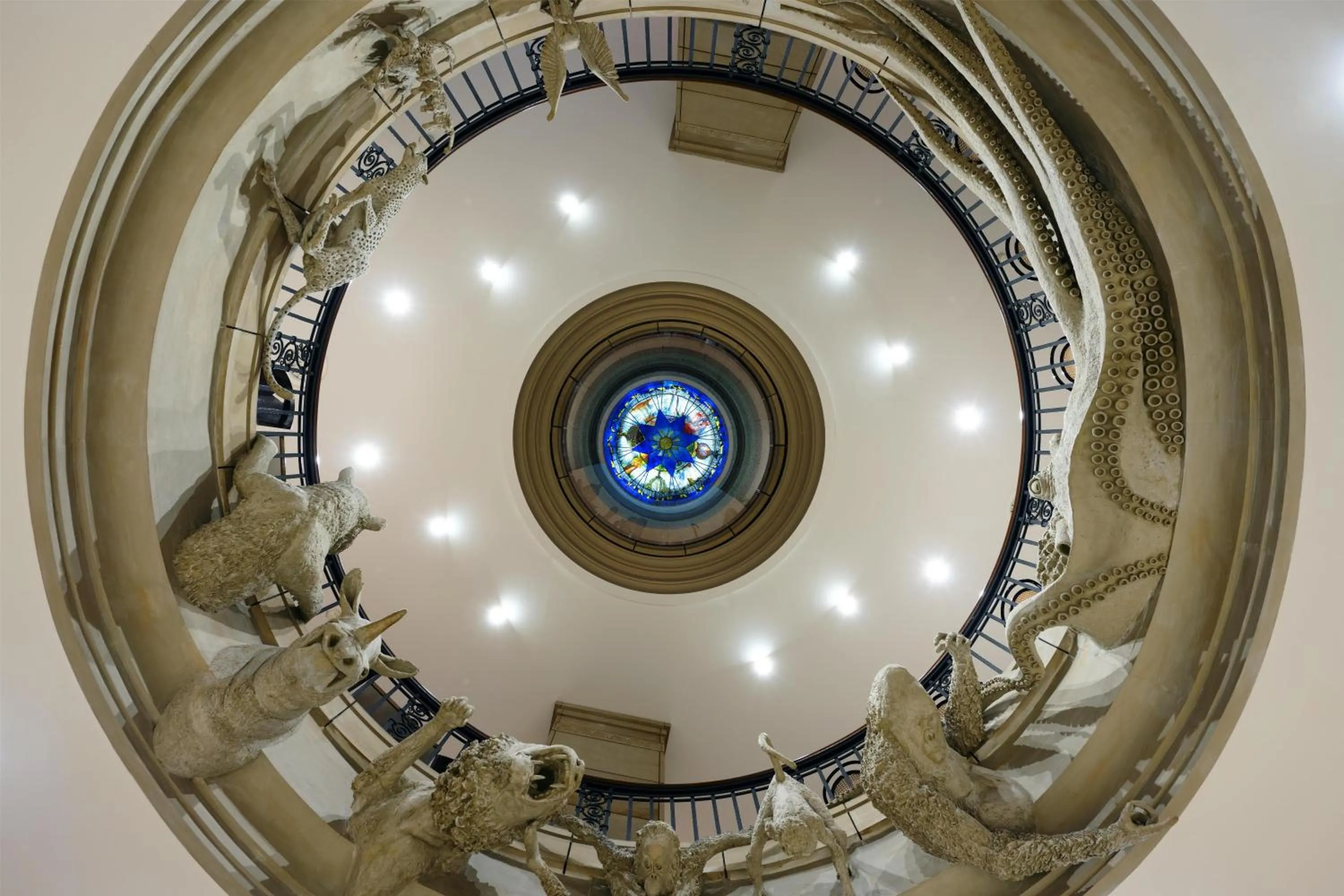 Restaurant/places to eat in Conrad Hamburg