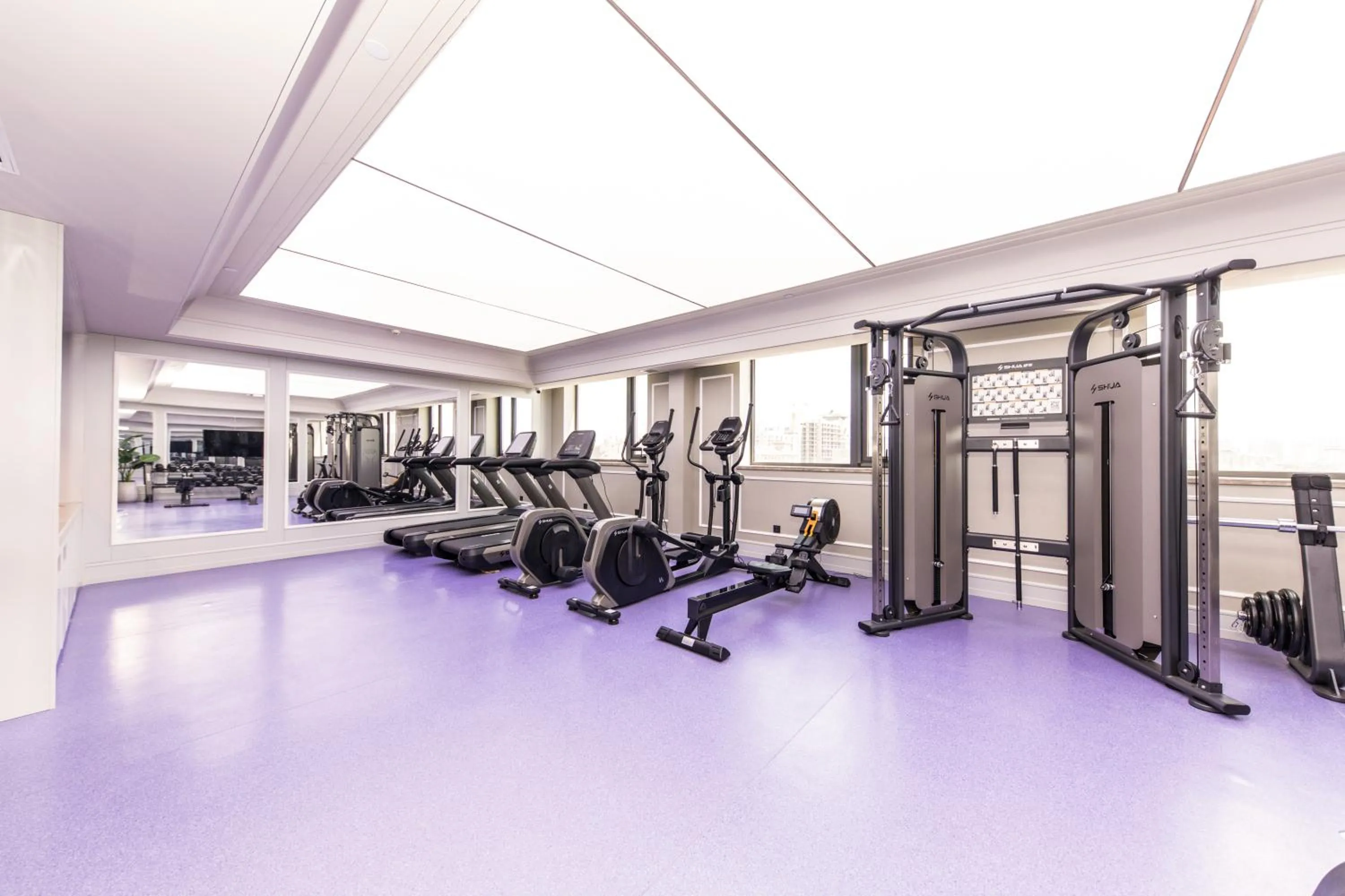 Fitness centre/facilities in Mercure Xian City Centre