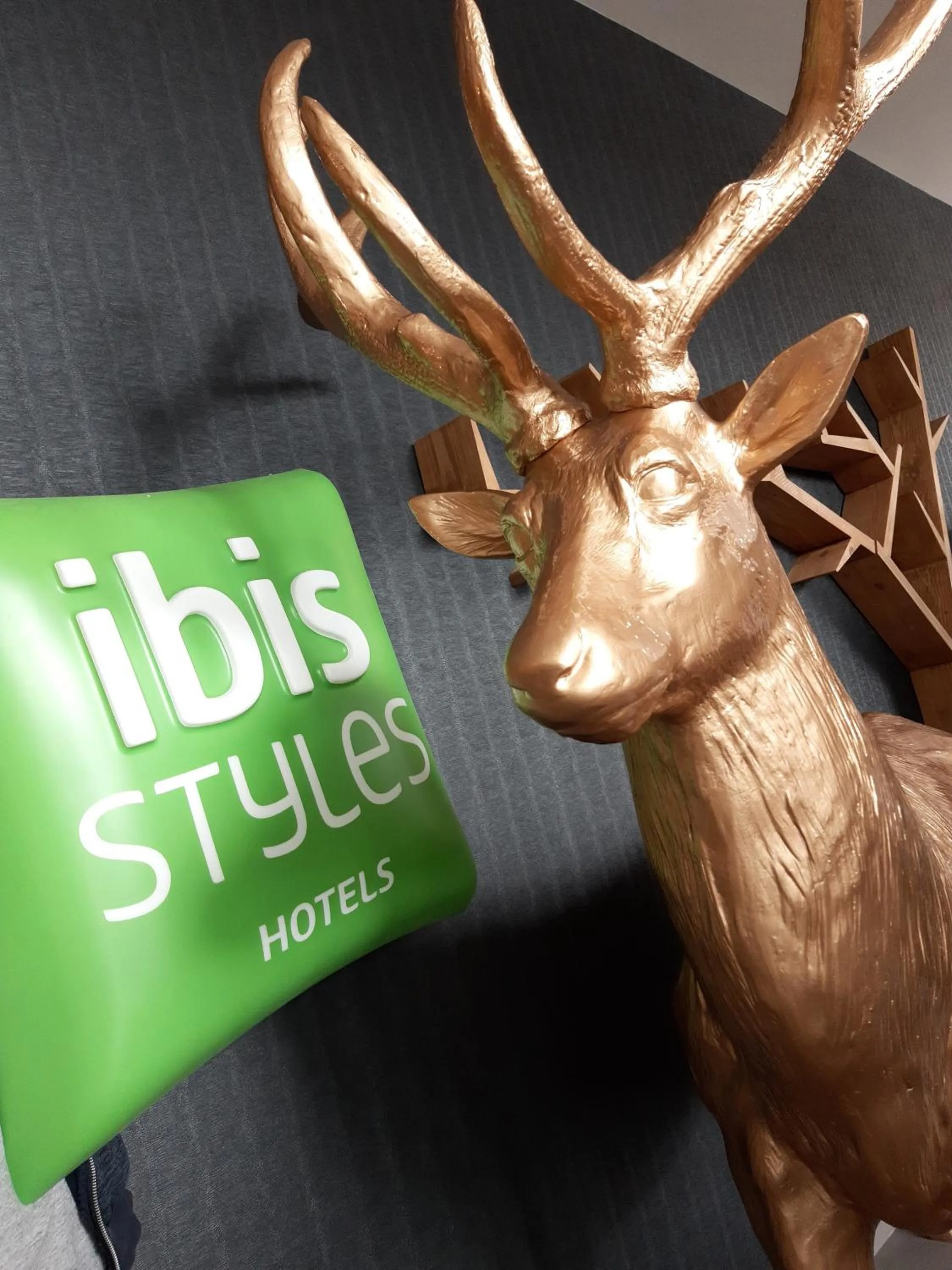 Property building in ibis Styles Contres-Cheverny