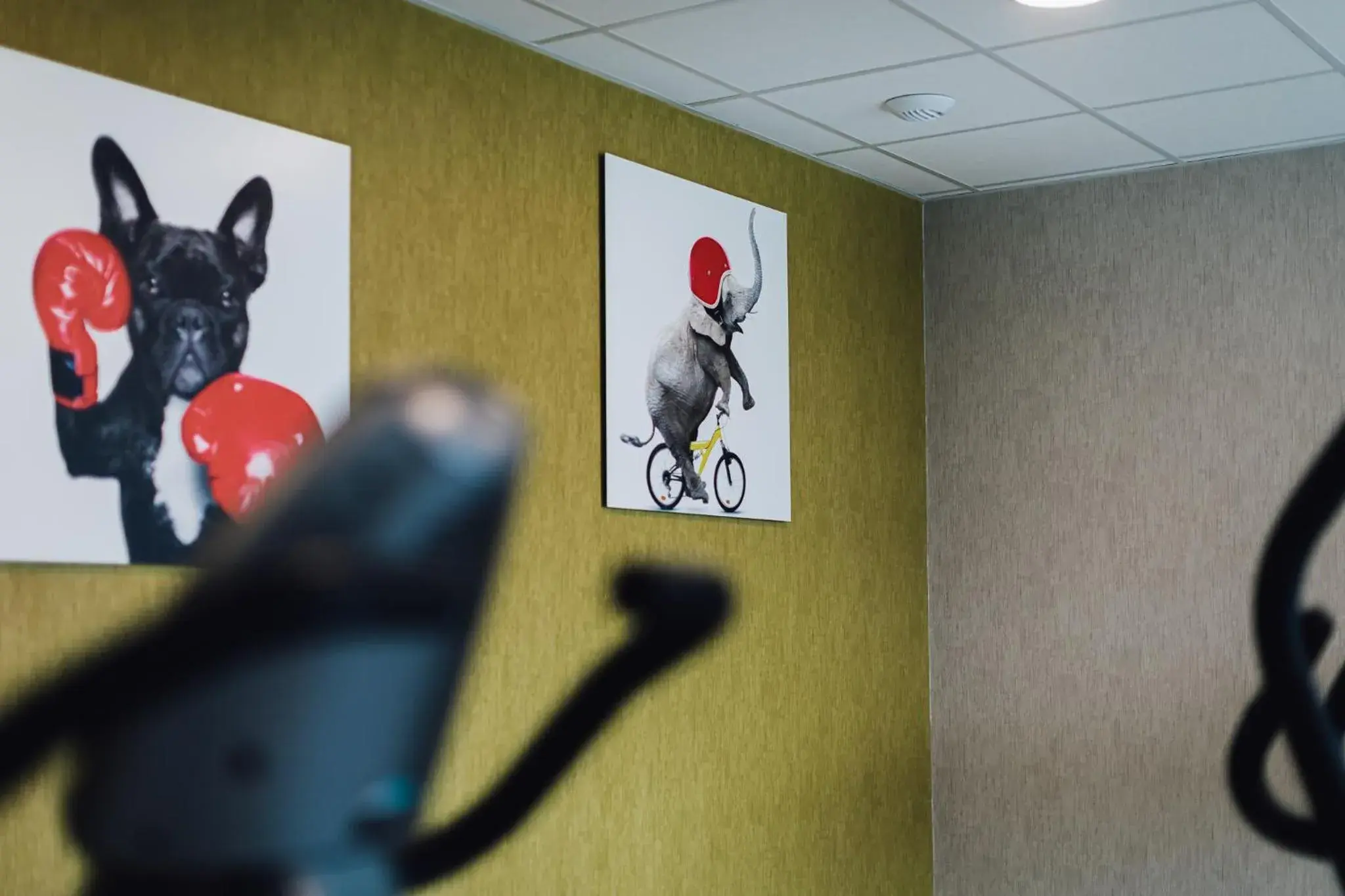 Fitness centre/facilities in ibis Styles Contres-Cheverny Fitness centre/facilities in ibis Styles Contres-Cheverny