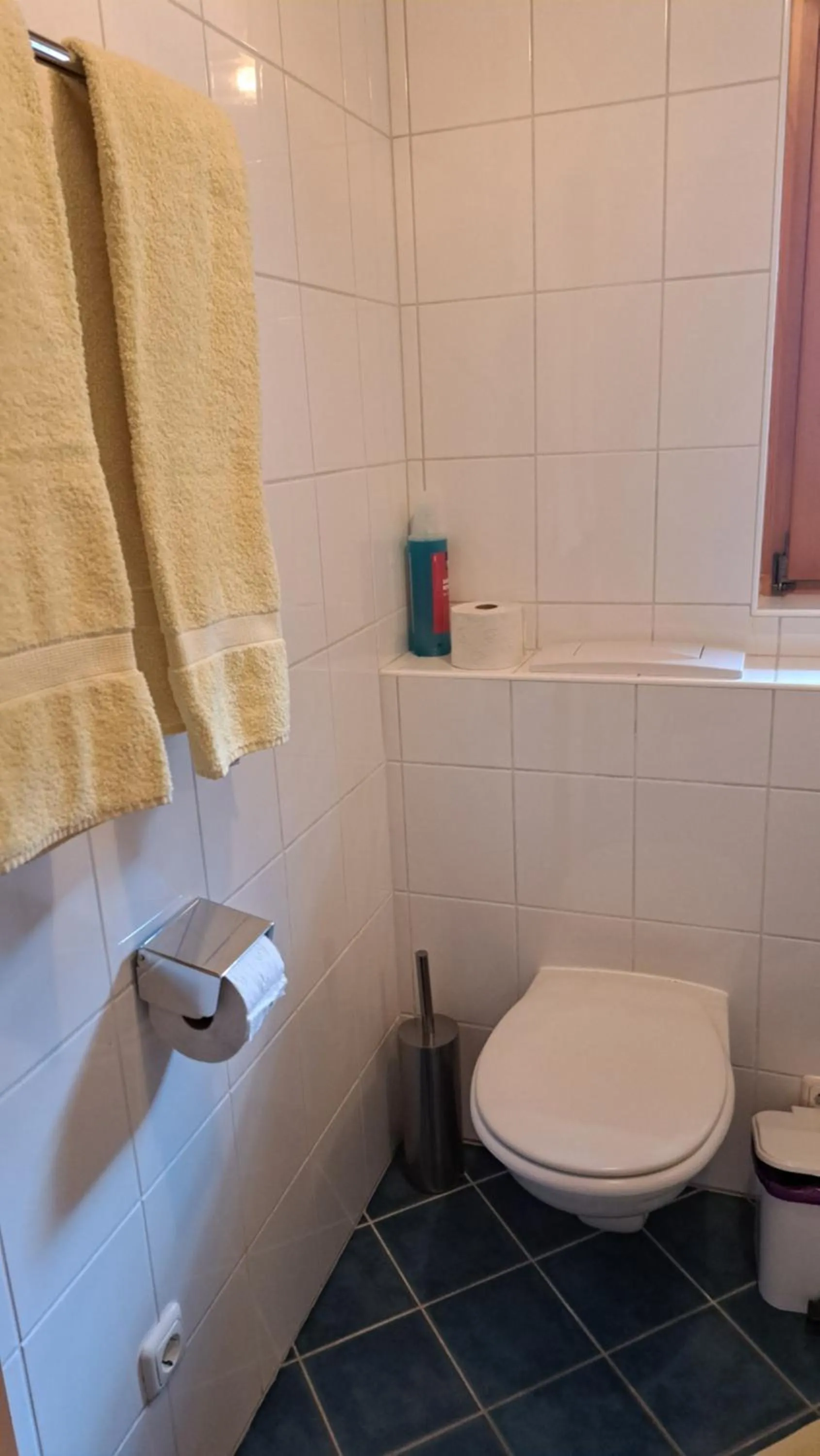 Appartment Shelley