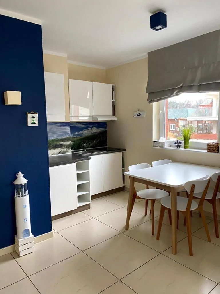 Kitchen or kitchenette in Baltic Cliff Apartamenty