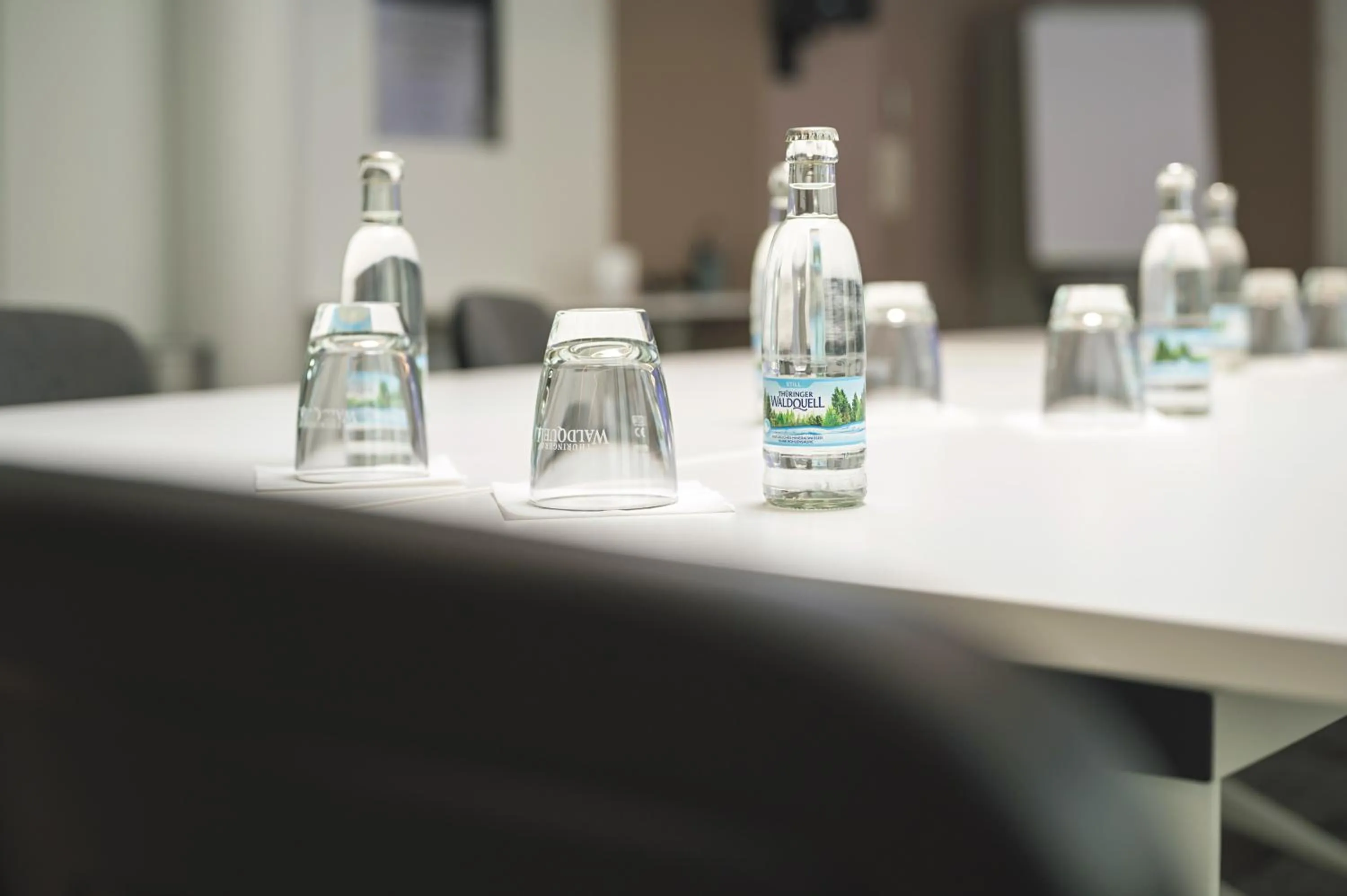 Business facilities in Hotel Wilna