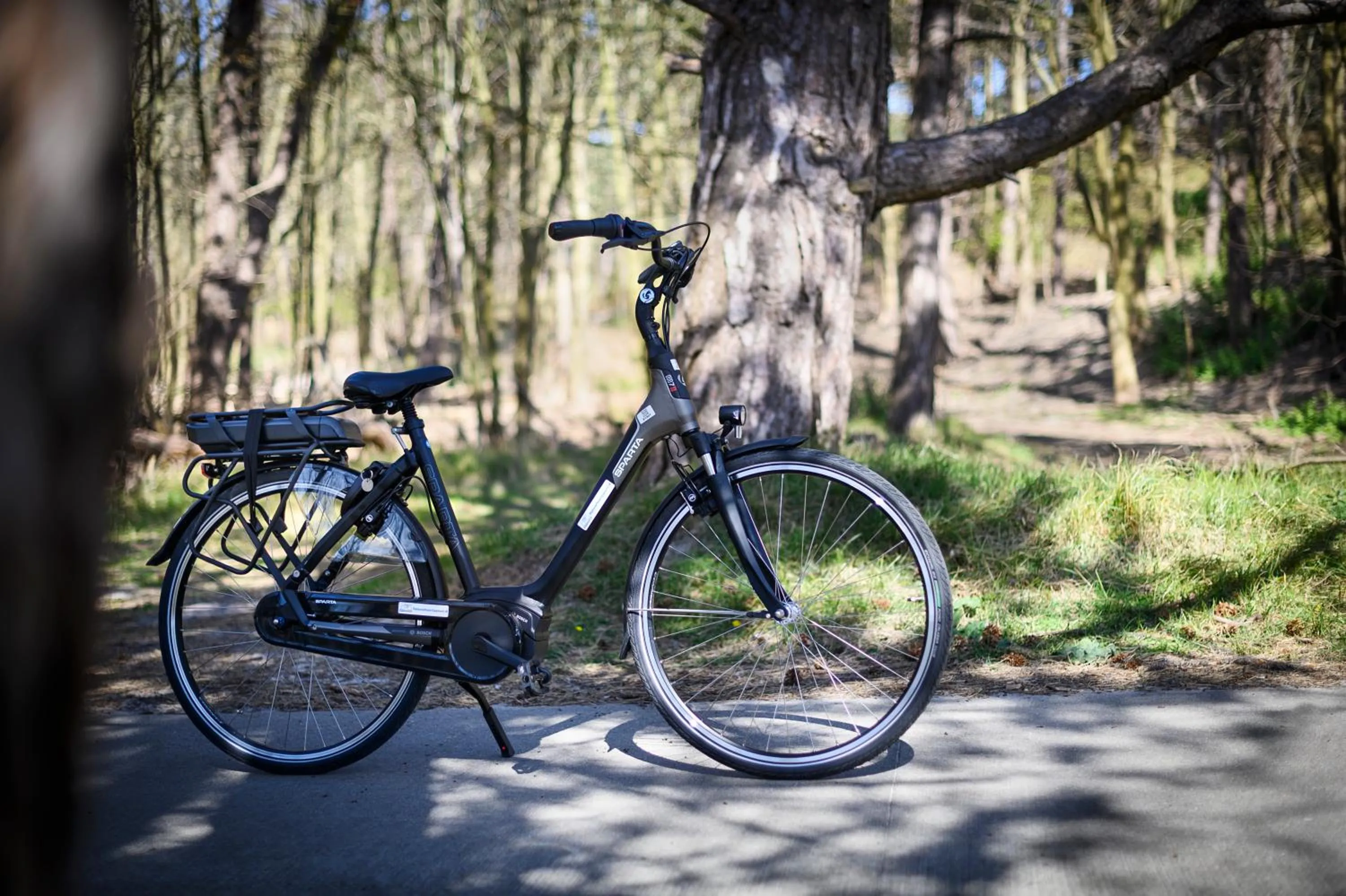 Natural landscape in Hotel Ter Zand - Handwritten Collection