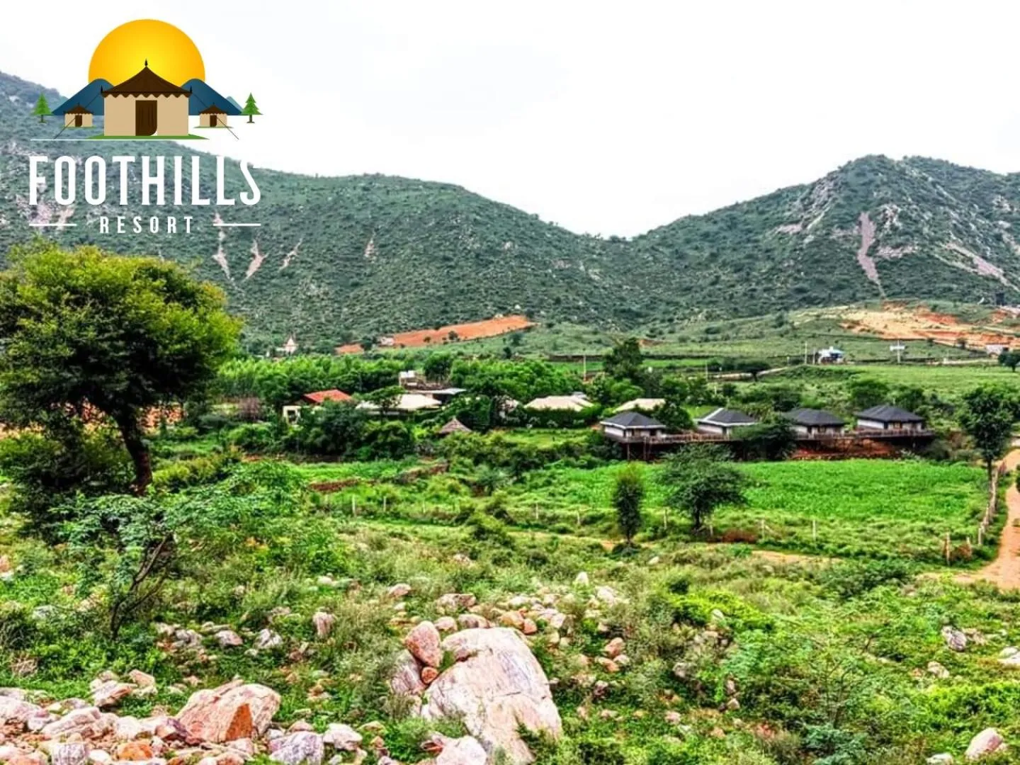 View (from property/room) in Foothill Pushkar Resort