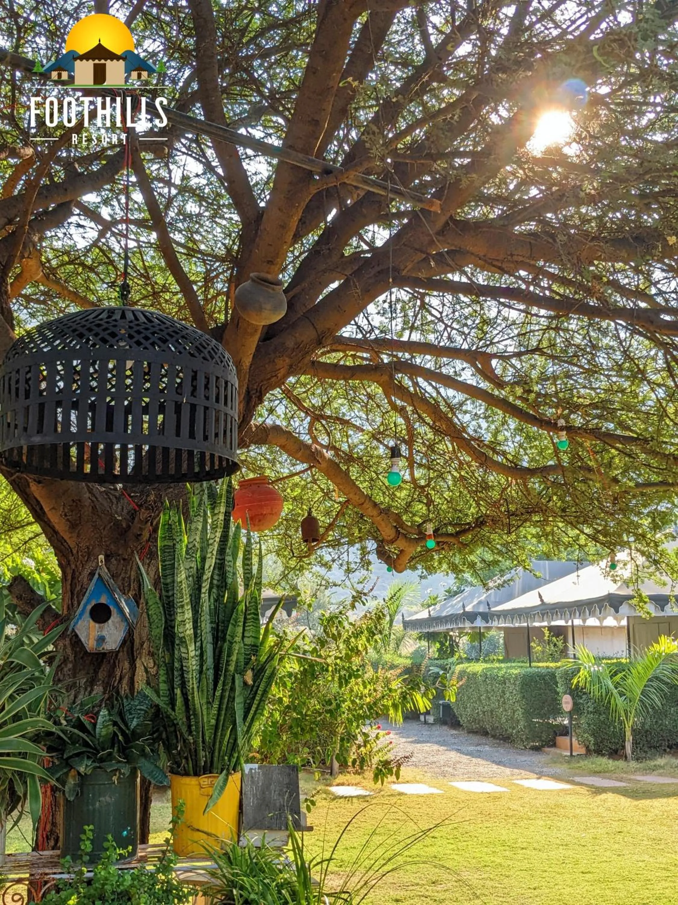 Day in Foothill Pushkar Resort