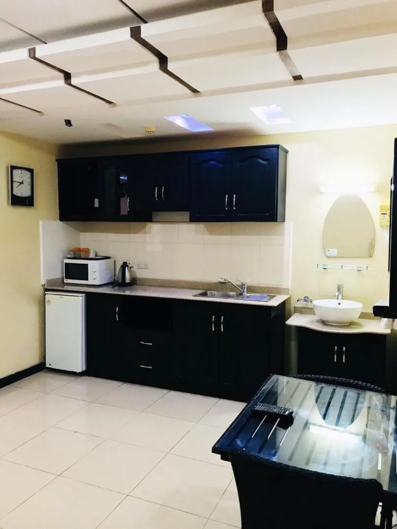 Kitchen or kitchenette in Urban Rose Hotel & Apartments