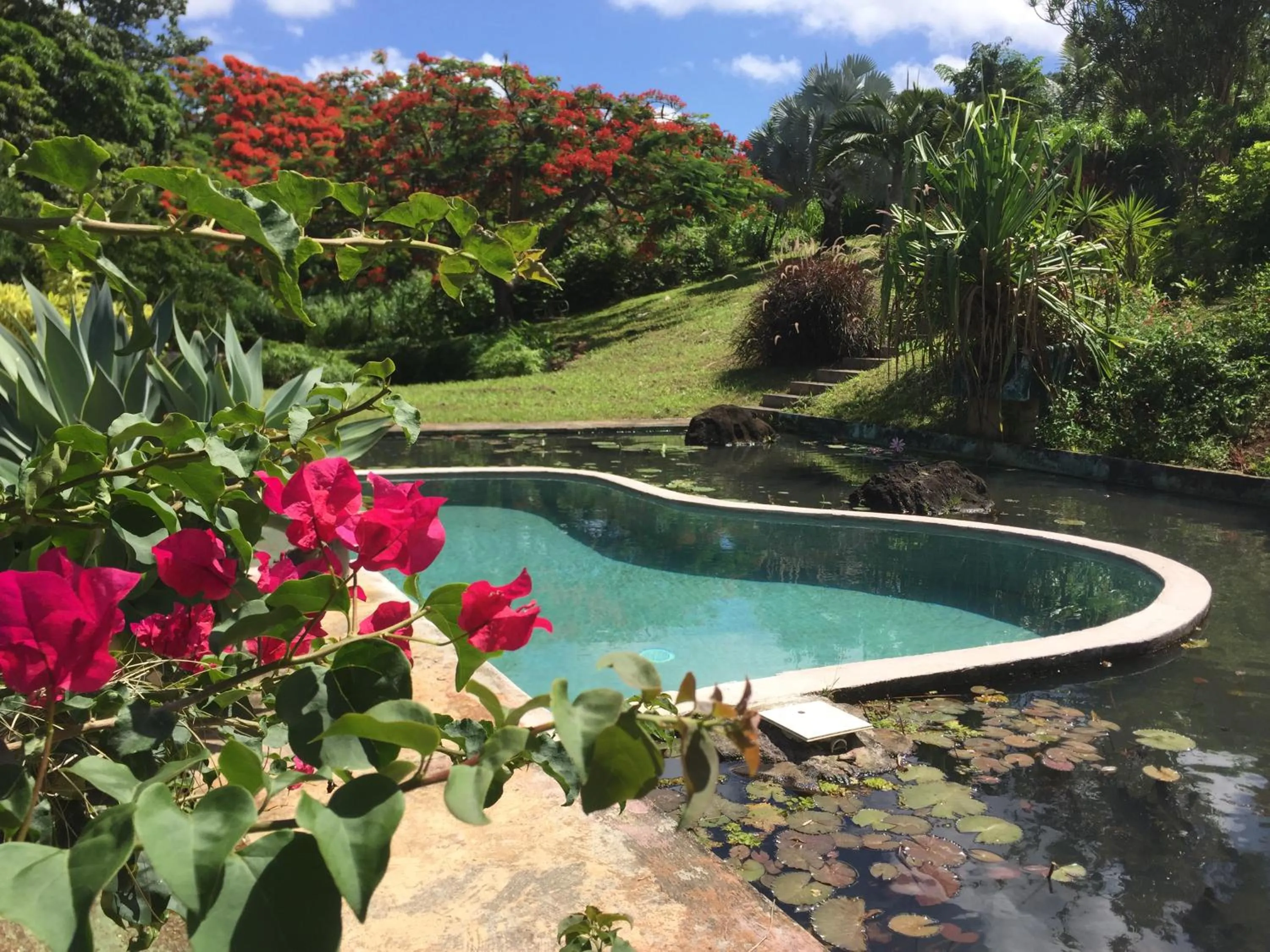 Swimming pool in TropicAngel ECOLODGE de Charme