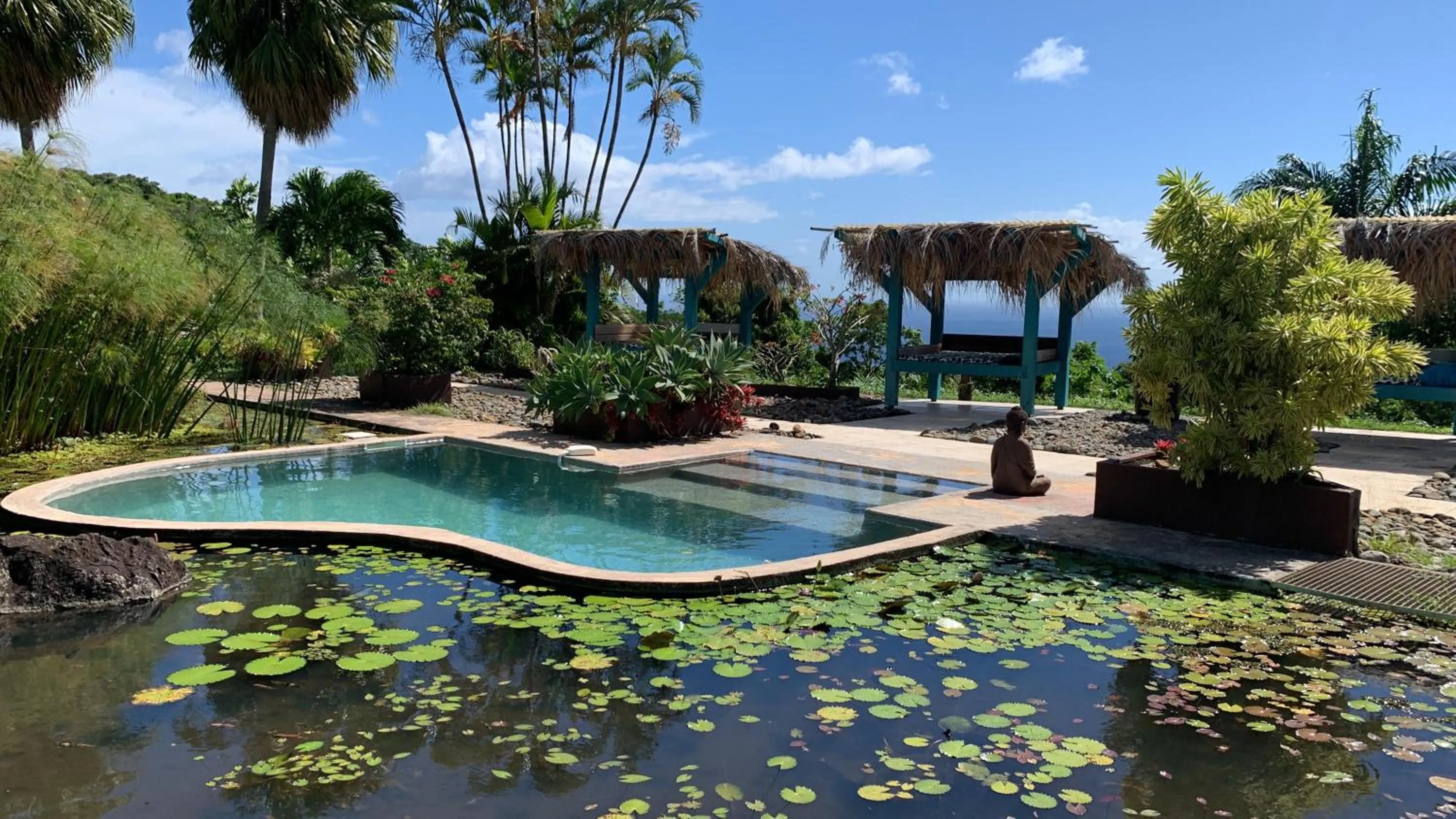 Swimming pool in TropicAngel ECOLODGE de Charme