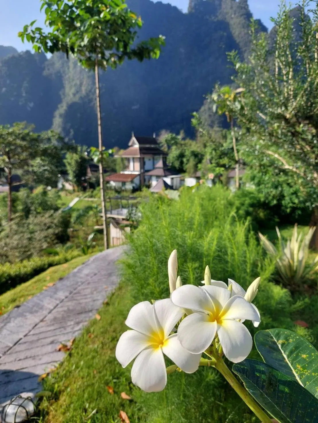 Property building in Magical Mountain View Resort