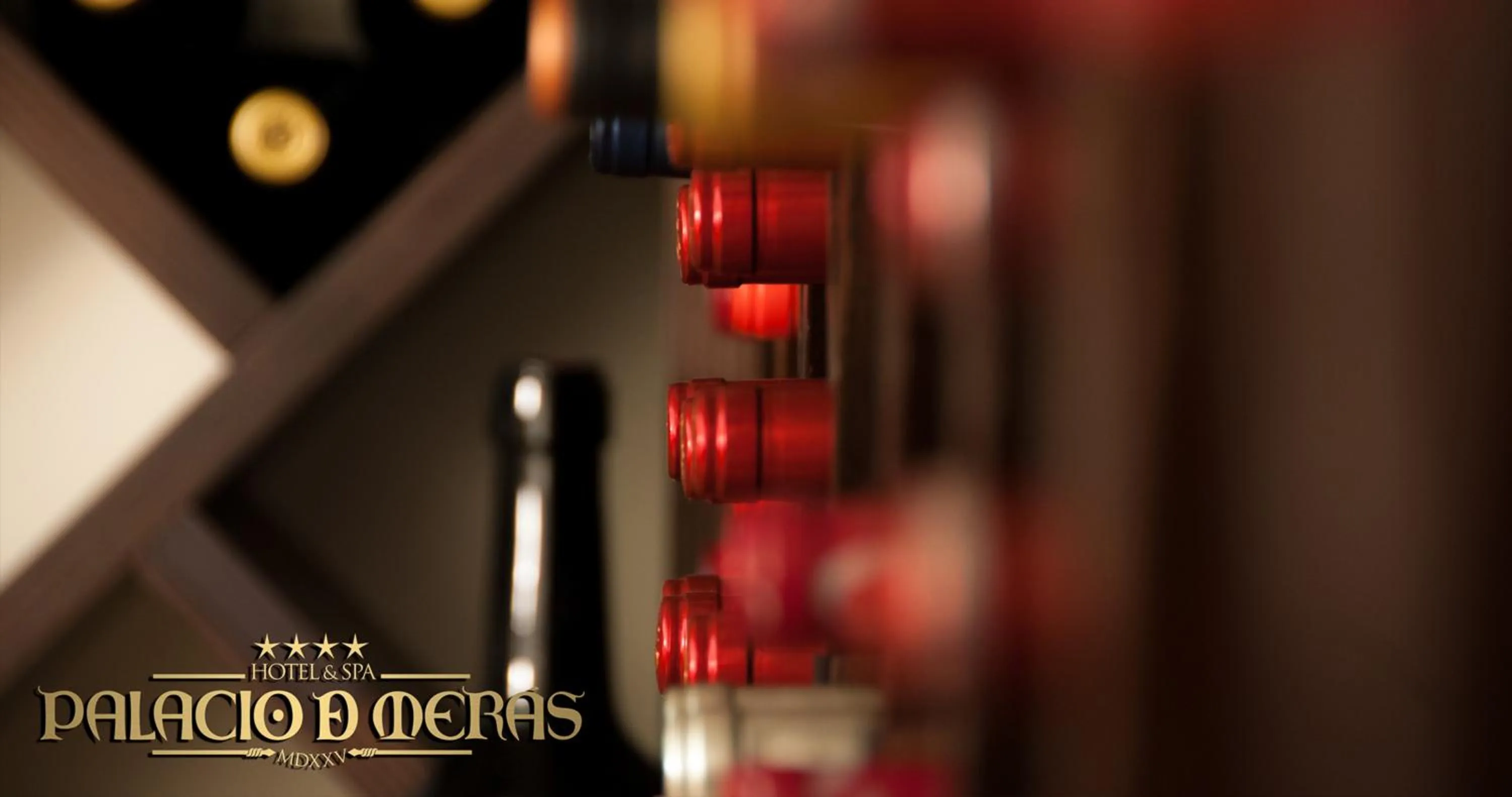 Food and drinks in Hotel Palacio de Merás