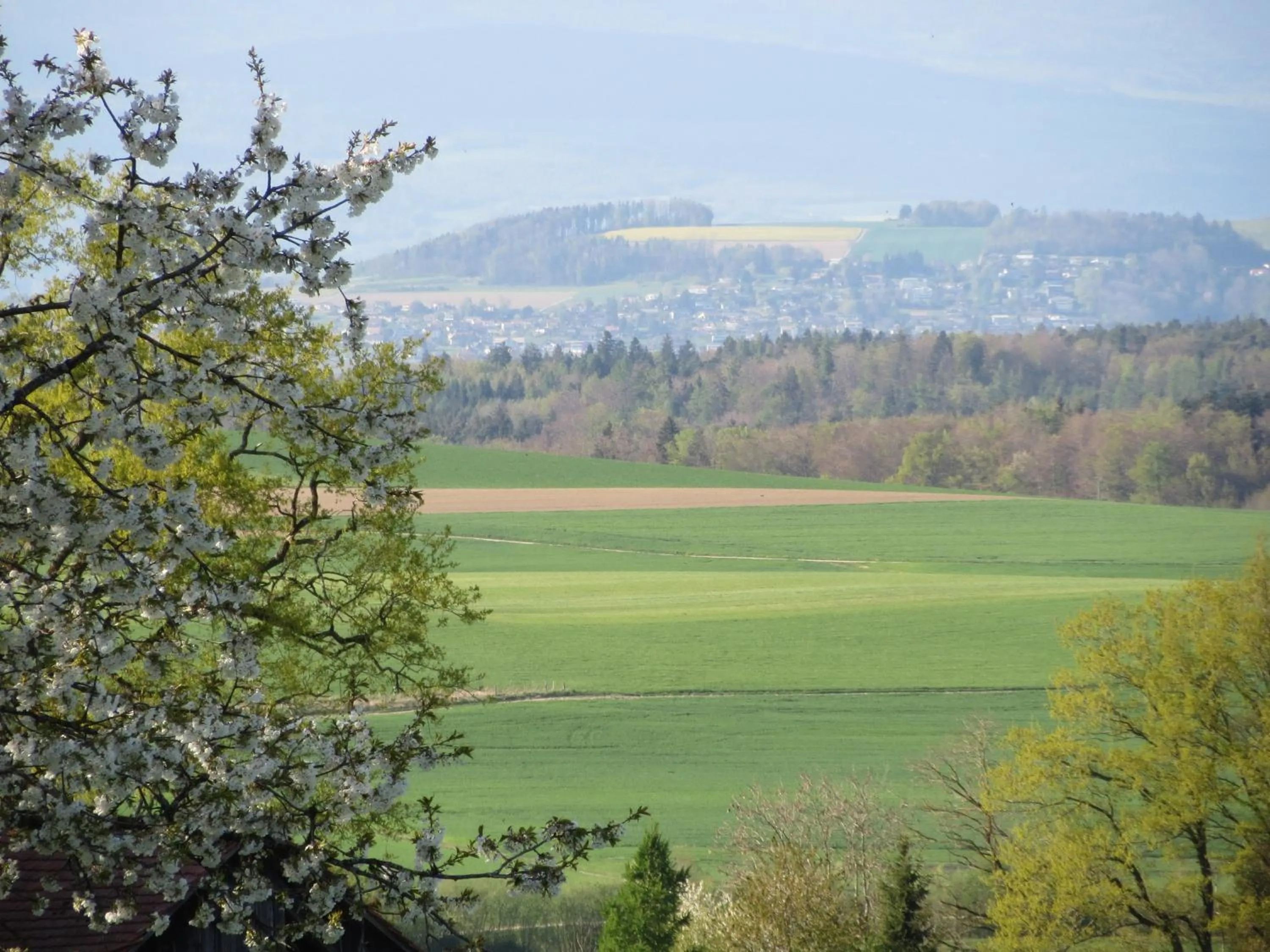 Day in Le Relais du Château Monney