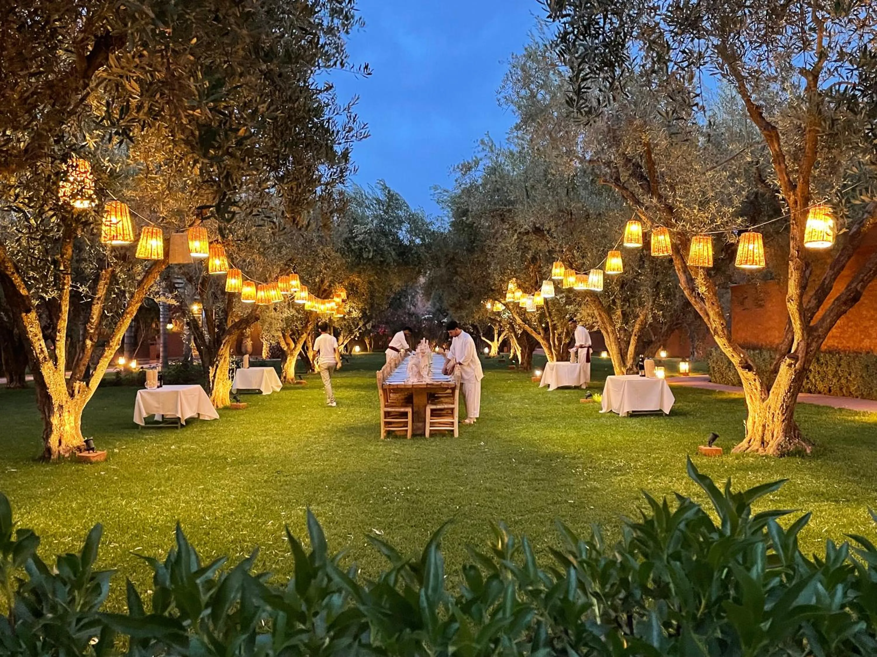 Garden in CASA ABRACADABRA