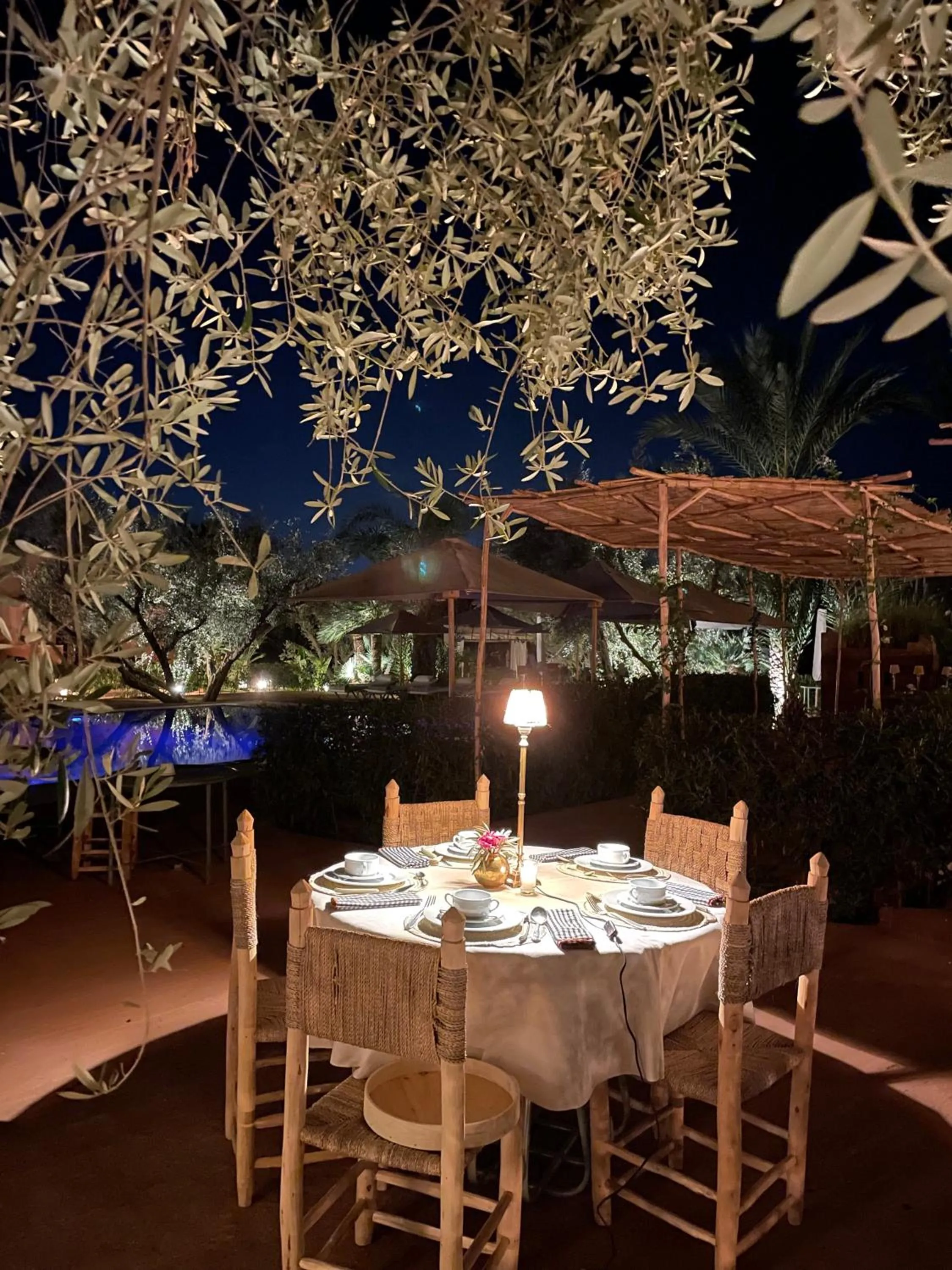 Restaurant/places to eat in CASA ABRACADABRA