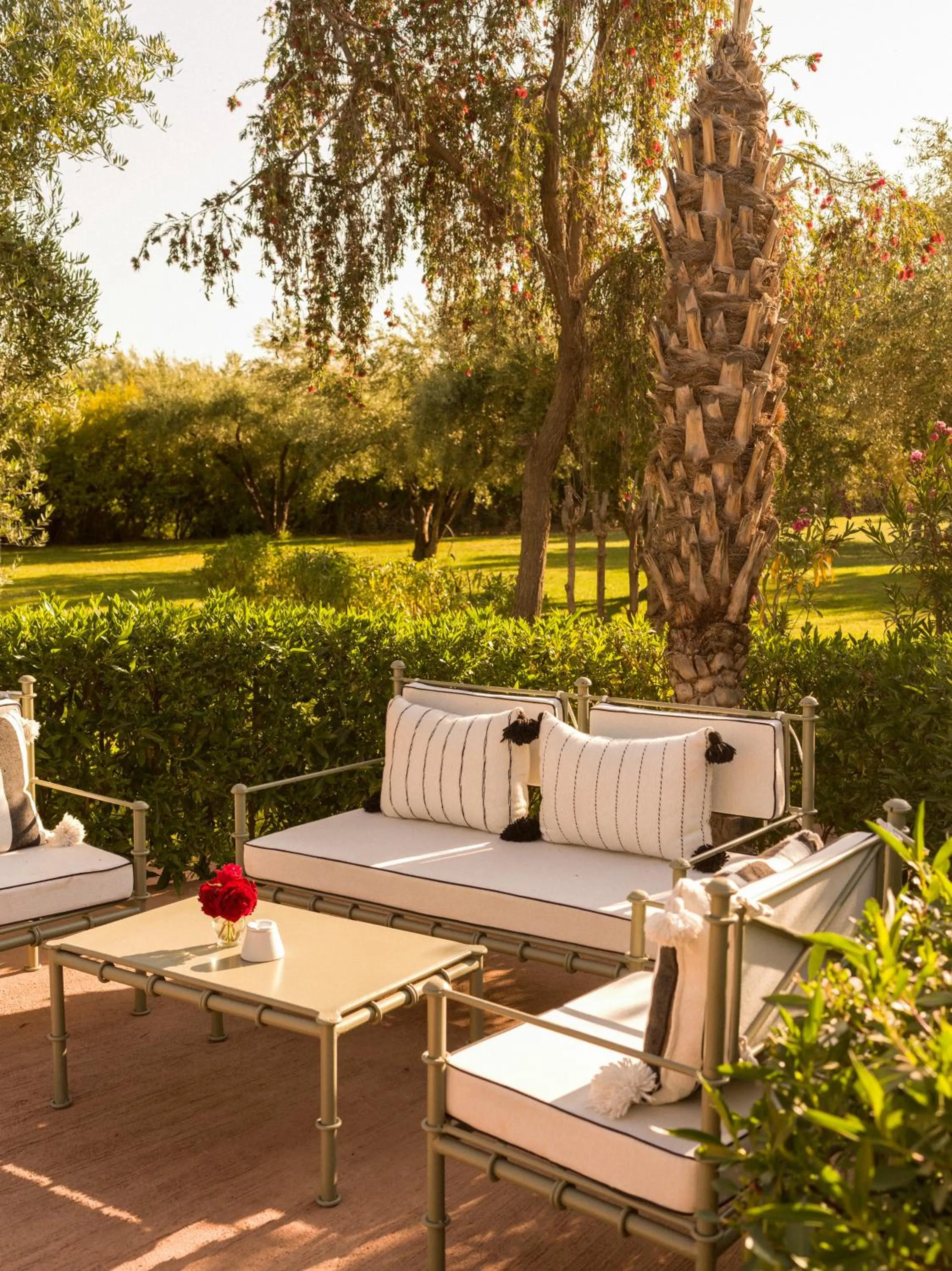 Garden in CASA ABRACADABRA