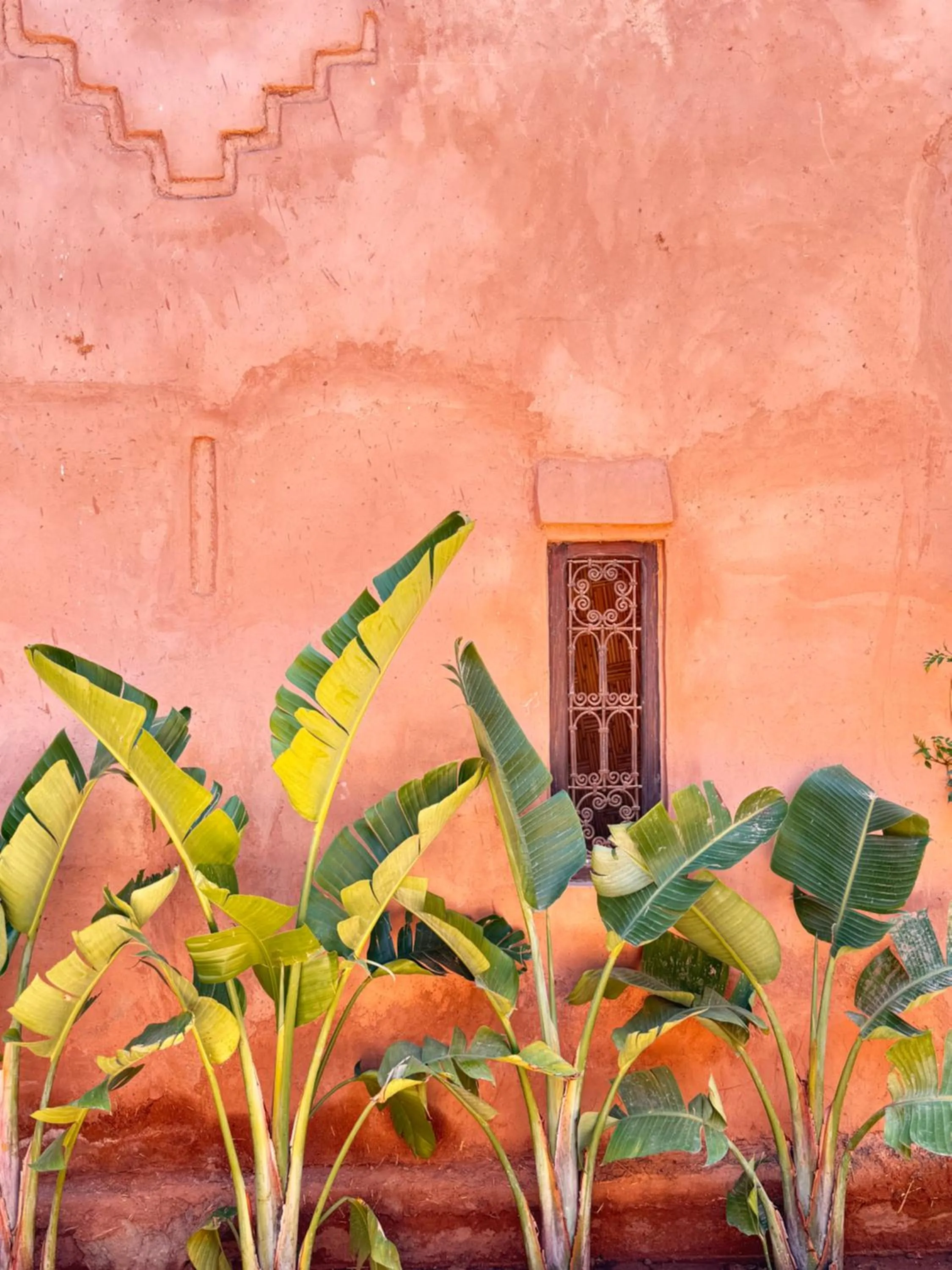Garden in CASA ABRACADABRA