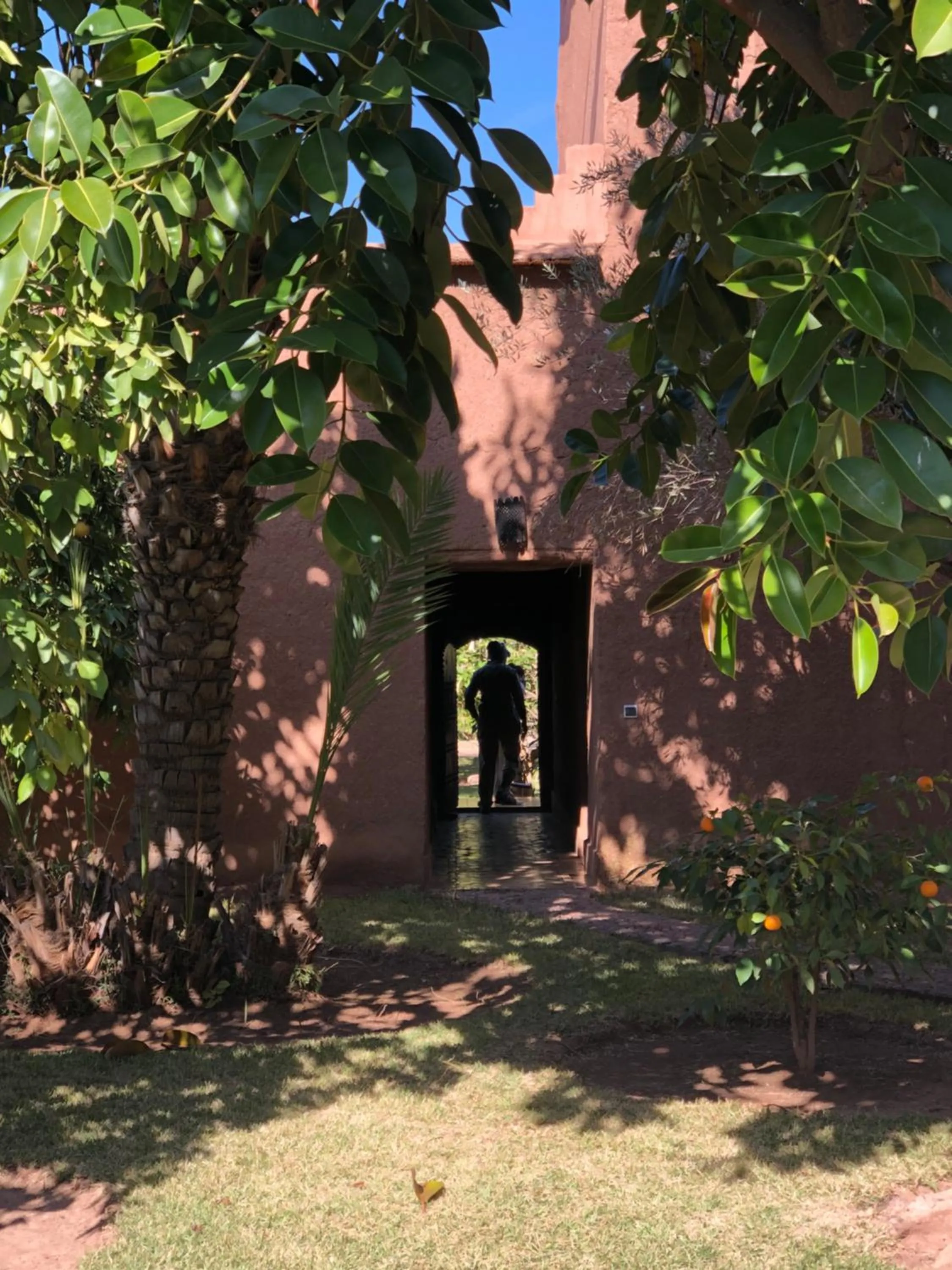 Garden in CASA ABRACADABRA