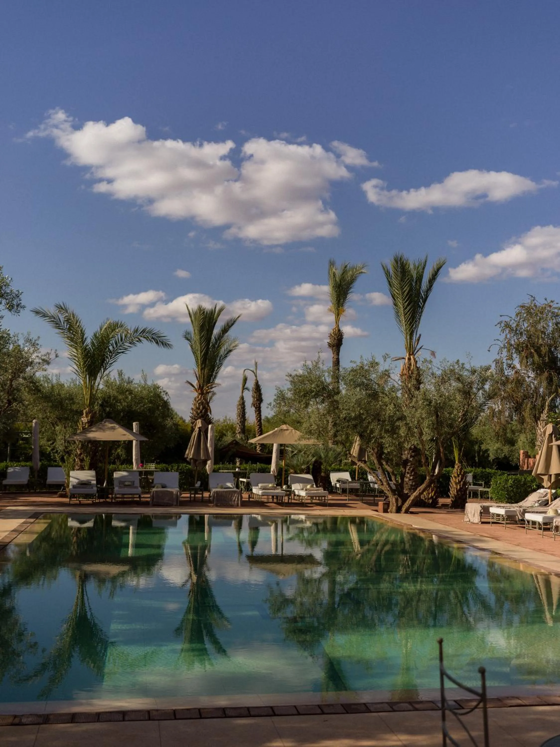 Swimming pool in CASA ABRACADABRA