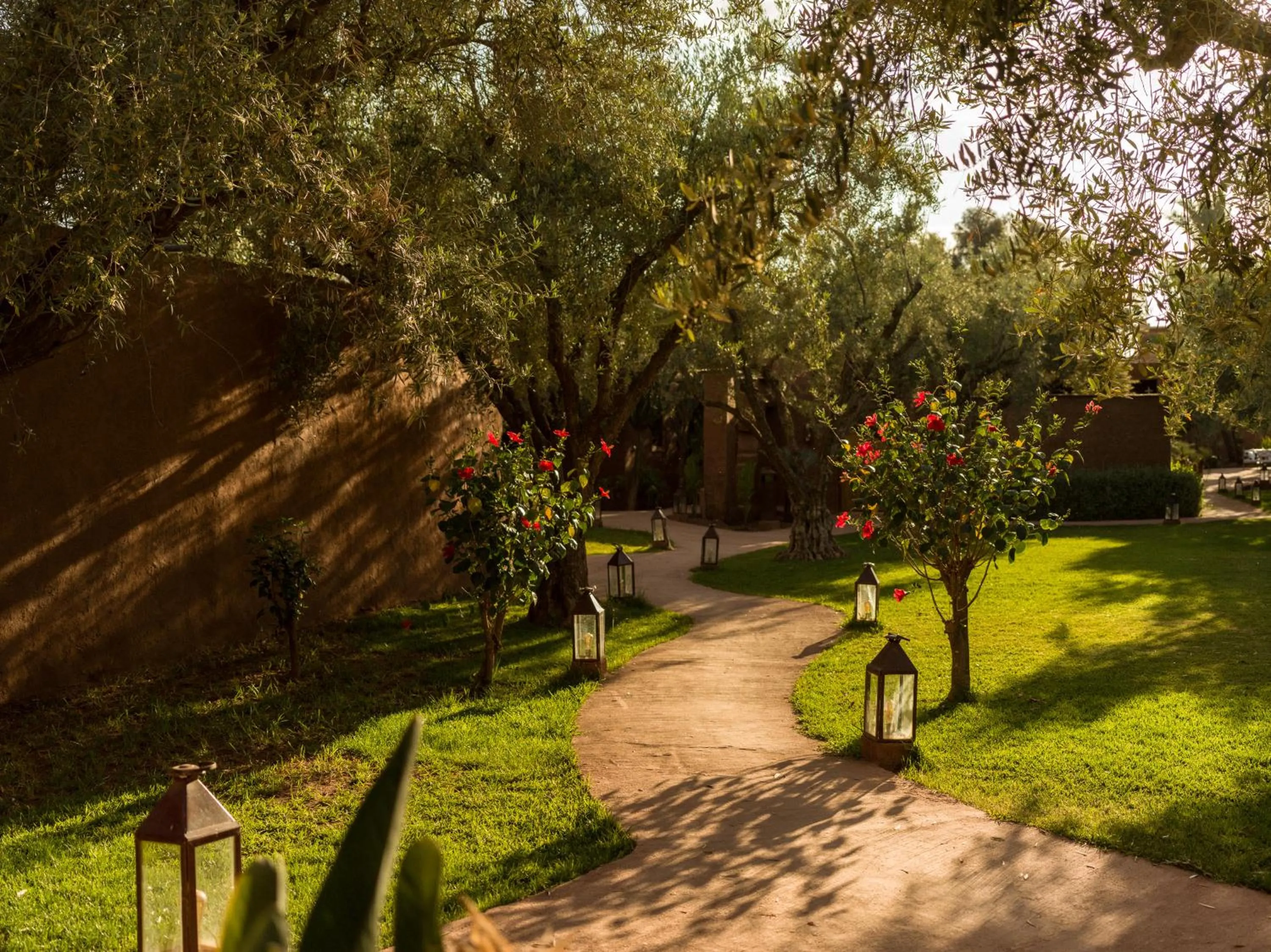 Garden in CASA ABRACADABRA