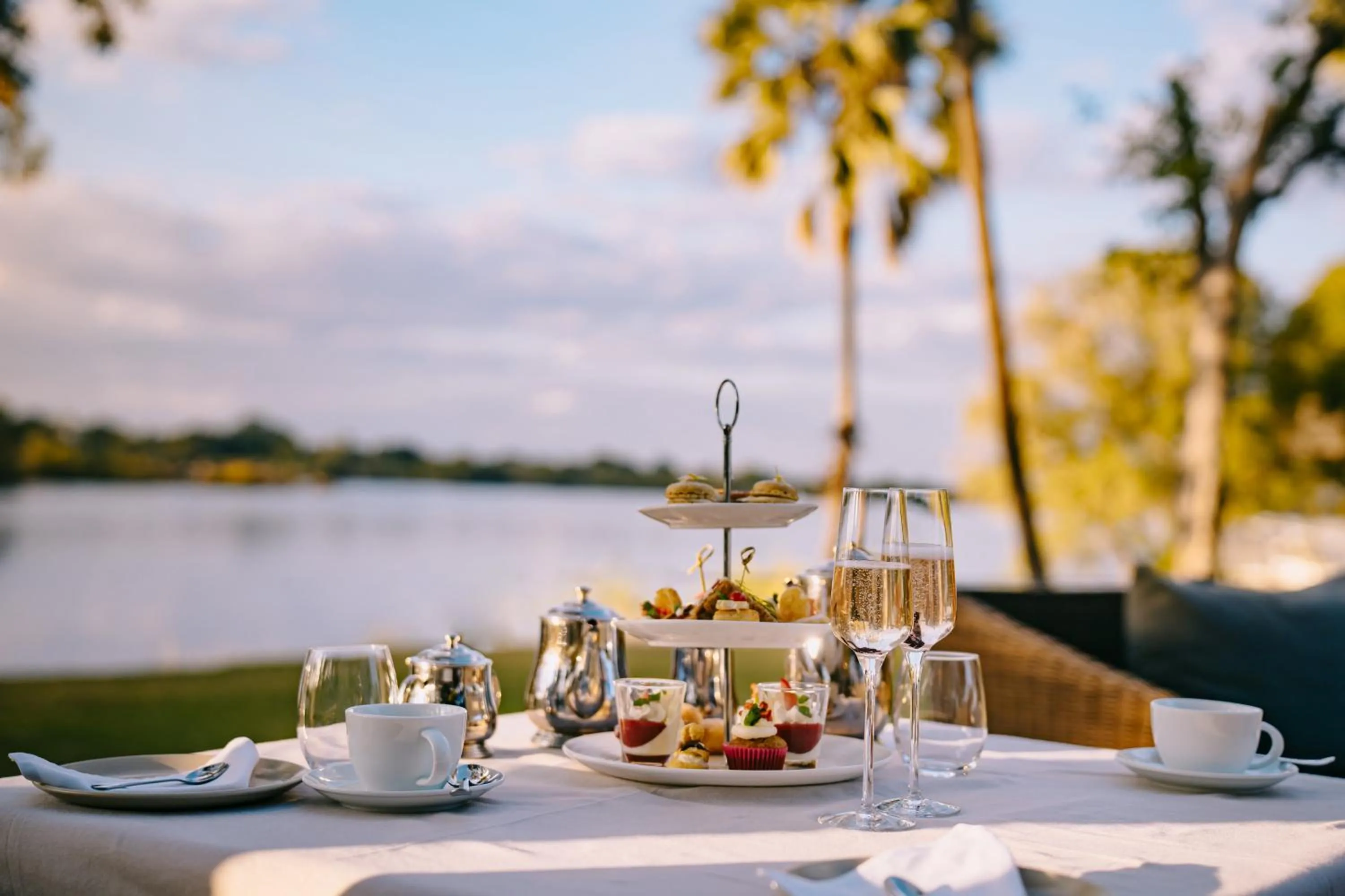 Activities in Palm River Hotel