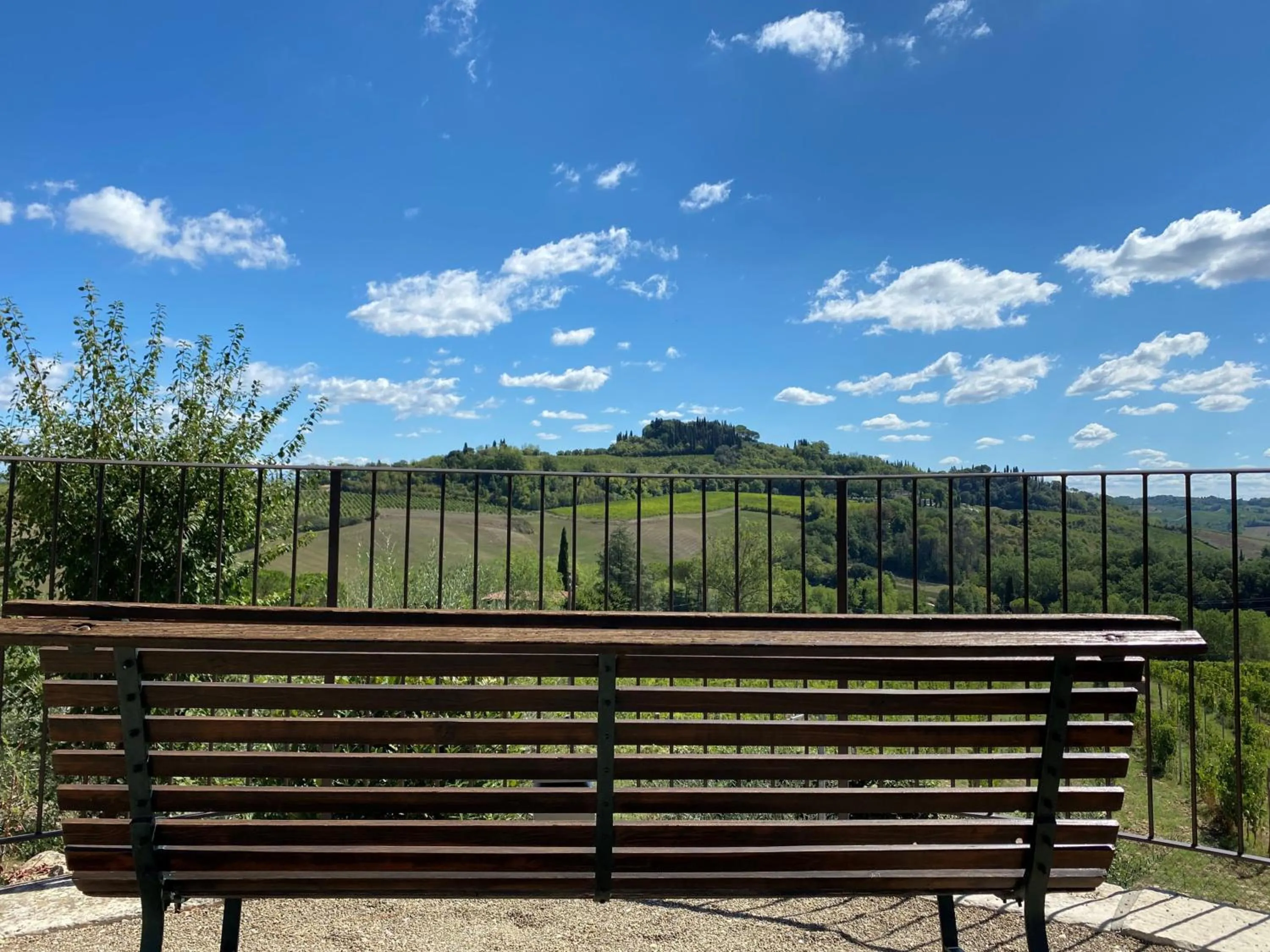 View (from property/room) in Tenuta Sovestro - Agriturismo e winery