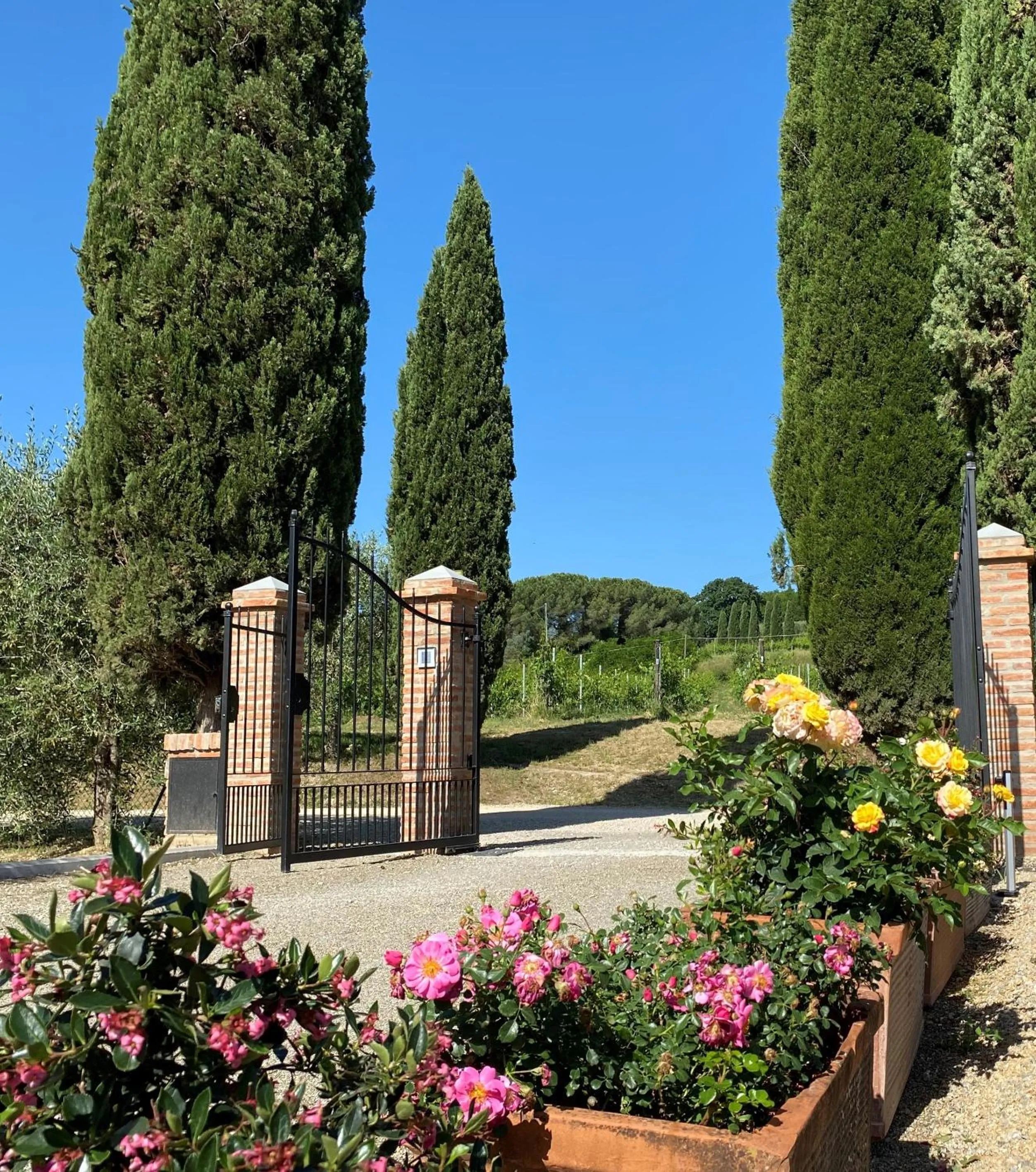 Property building in Tenuta Sovestro - Agriturismo e winery