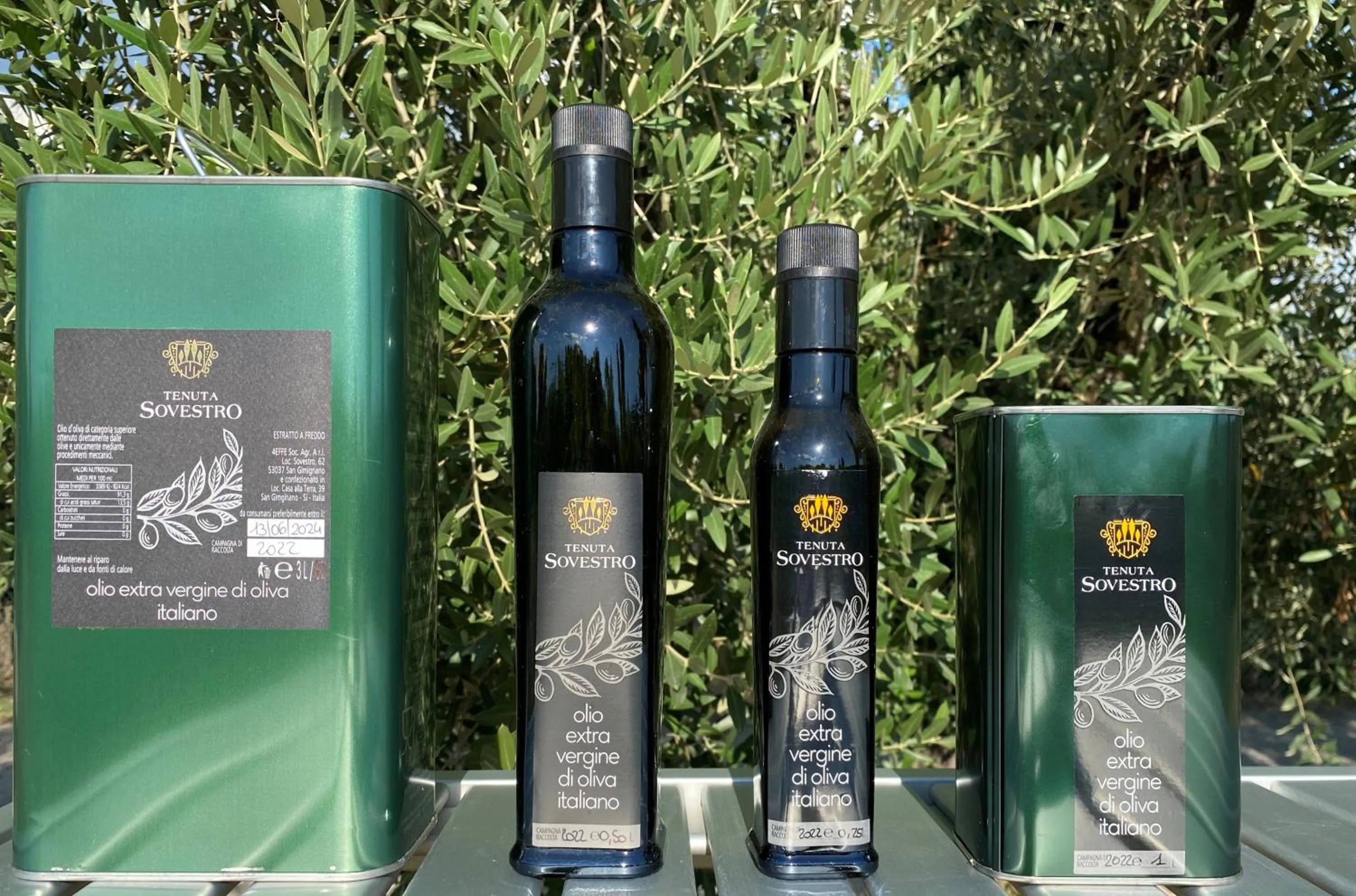 Activities in Tenuta Sovestro - Agriturismo e winery