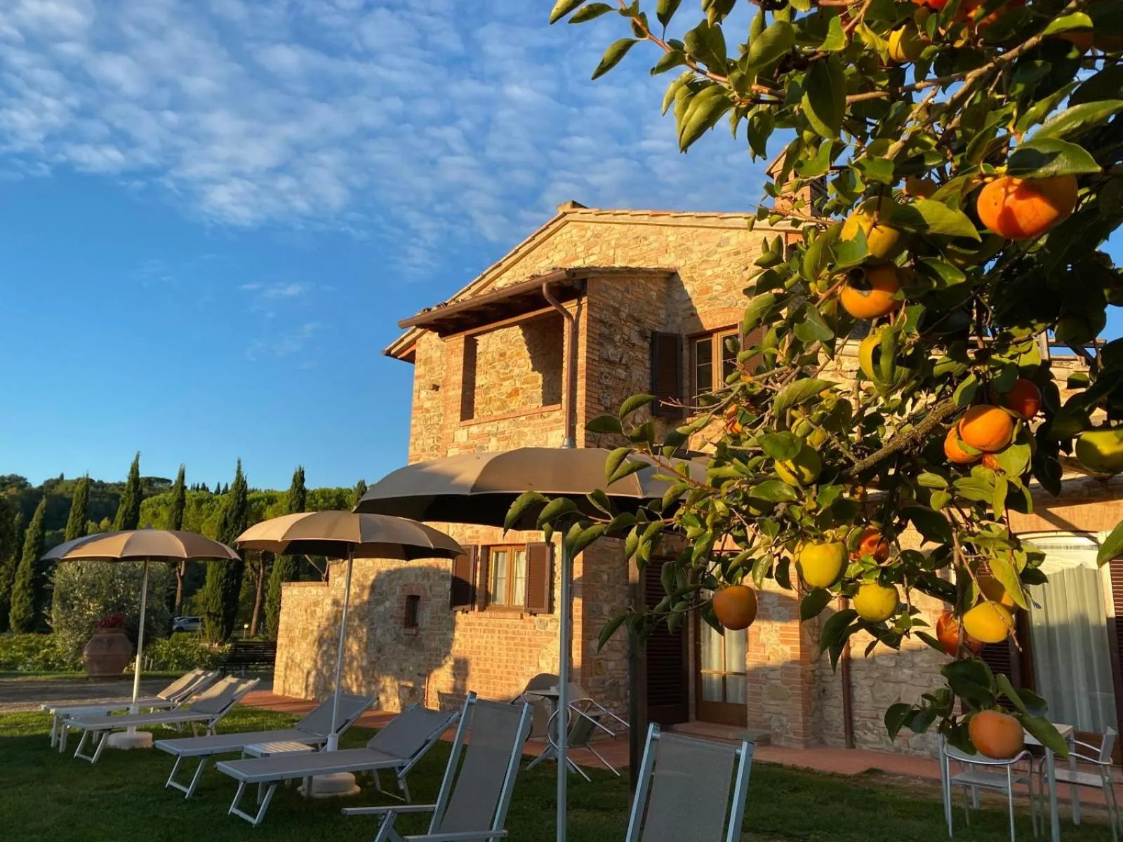 Property building in Tenuta Sovestro - Agriturismo e winery