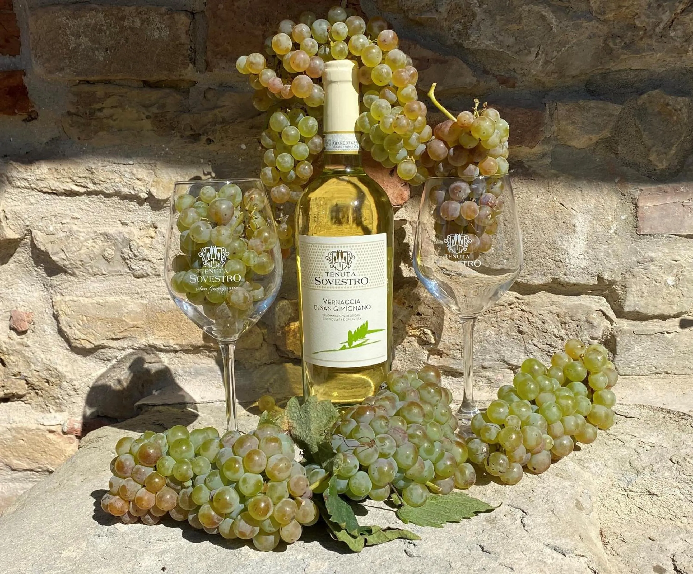 Drinks in Tenuta Sovestro - Agriturismo e winery