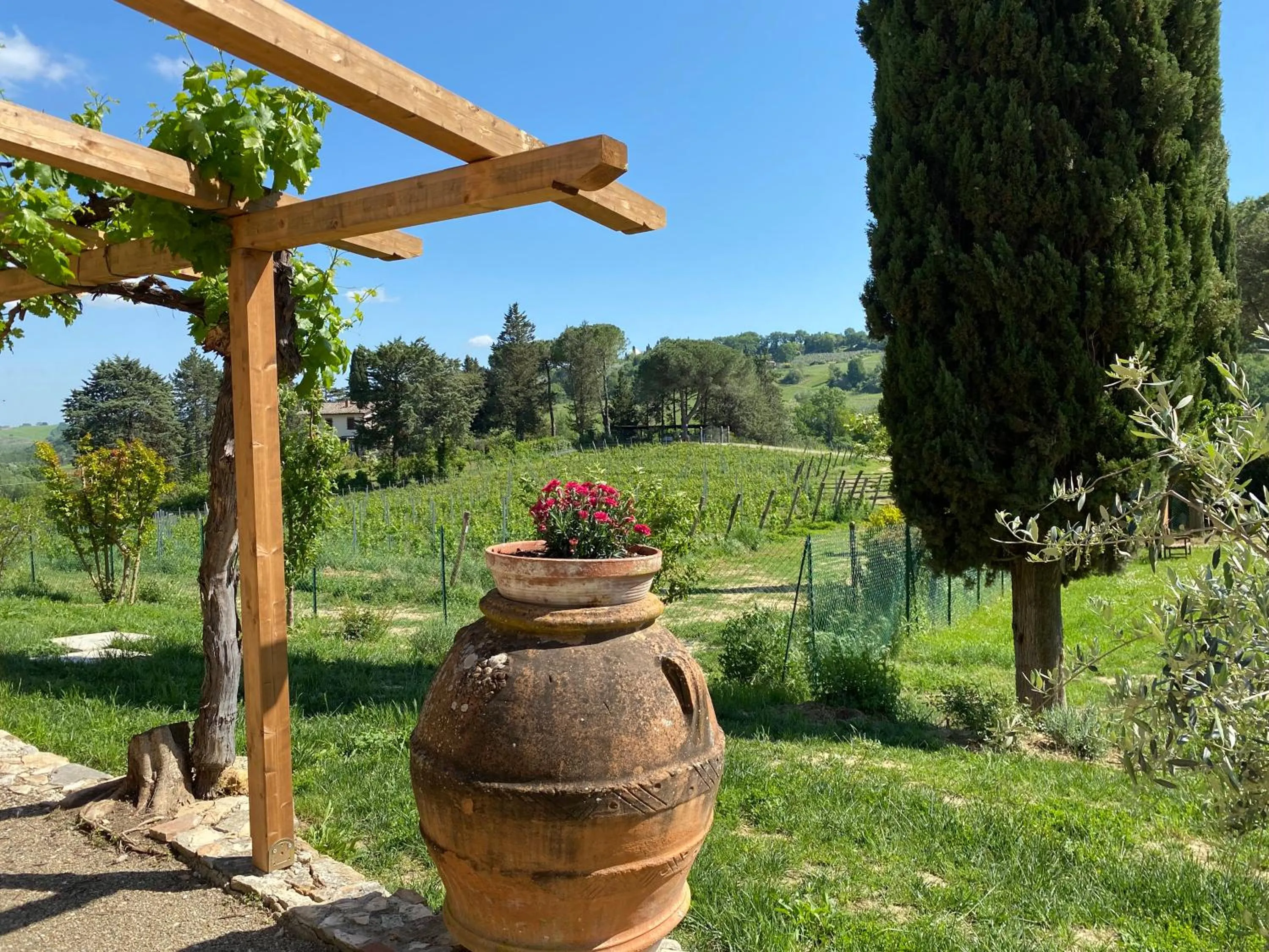 Garden in Tenuta Sovestro - Agriturismo e winery