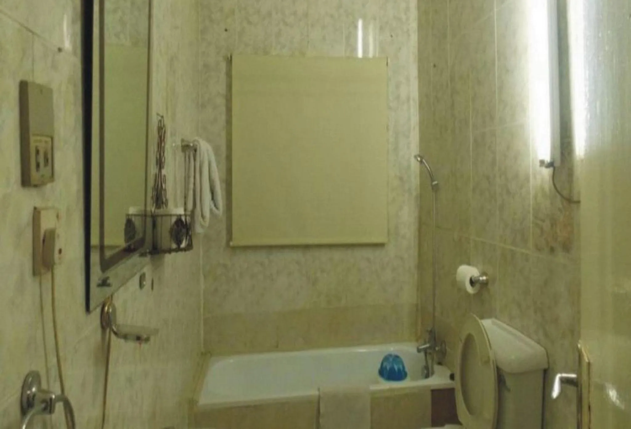 Room in Lodge - Ambassadors Hotel Ikoyi